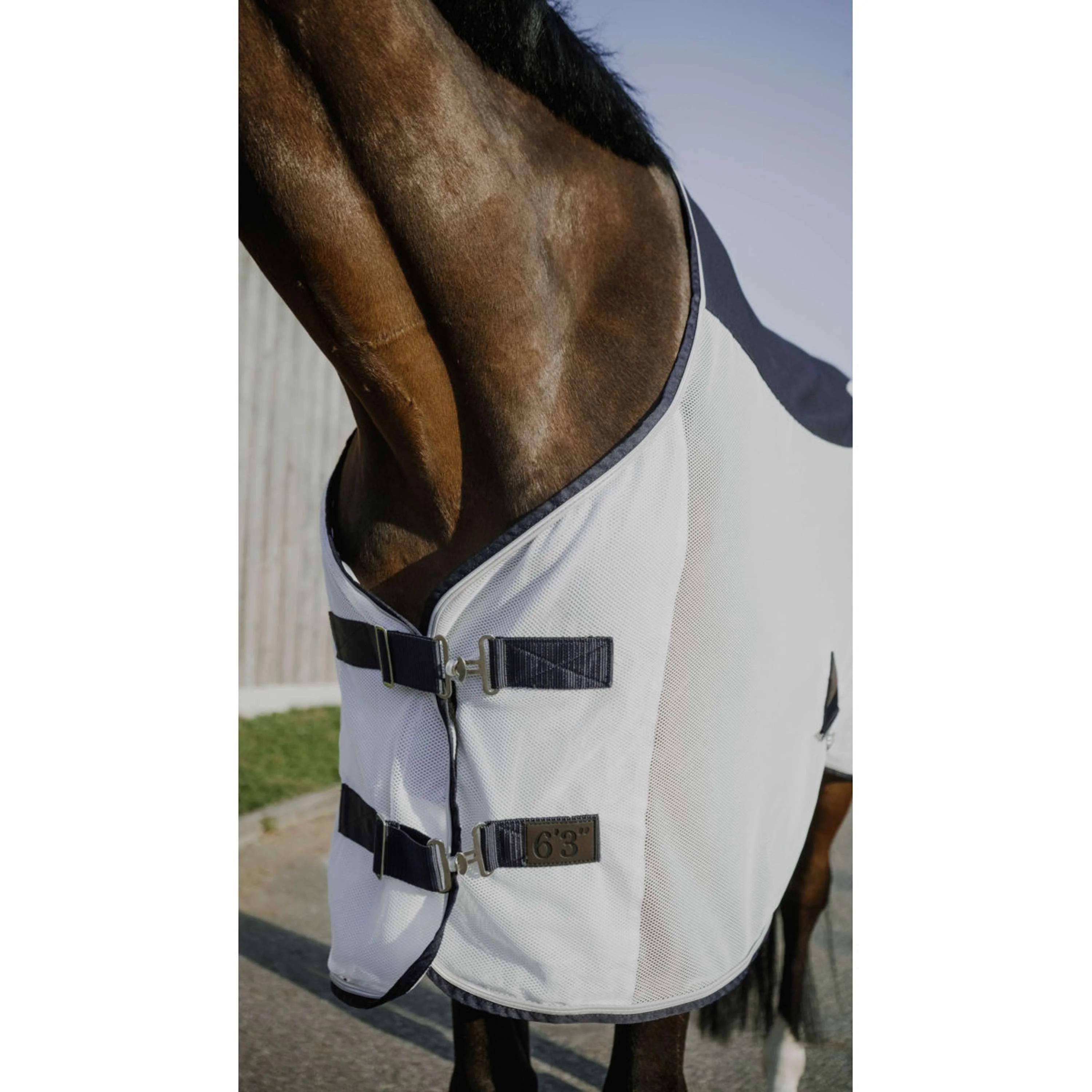 EQUITHÈME Couverture Anti-Mouches Flycool Standard Marine/Blanc - Image 2