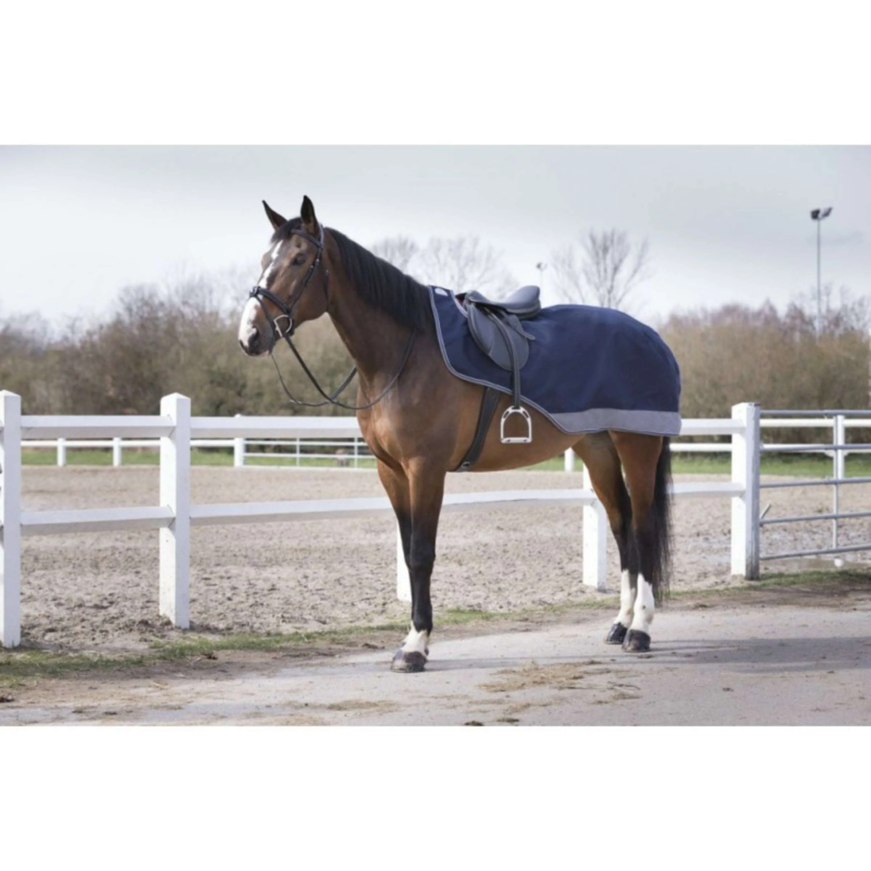EQUITHÈME Couvre-reins Tyrex Polar Fleece 600D Marine/Gris Dots - Image 6