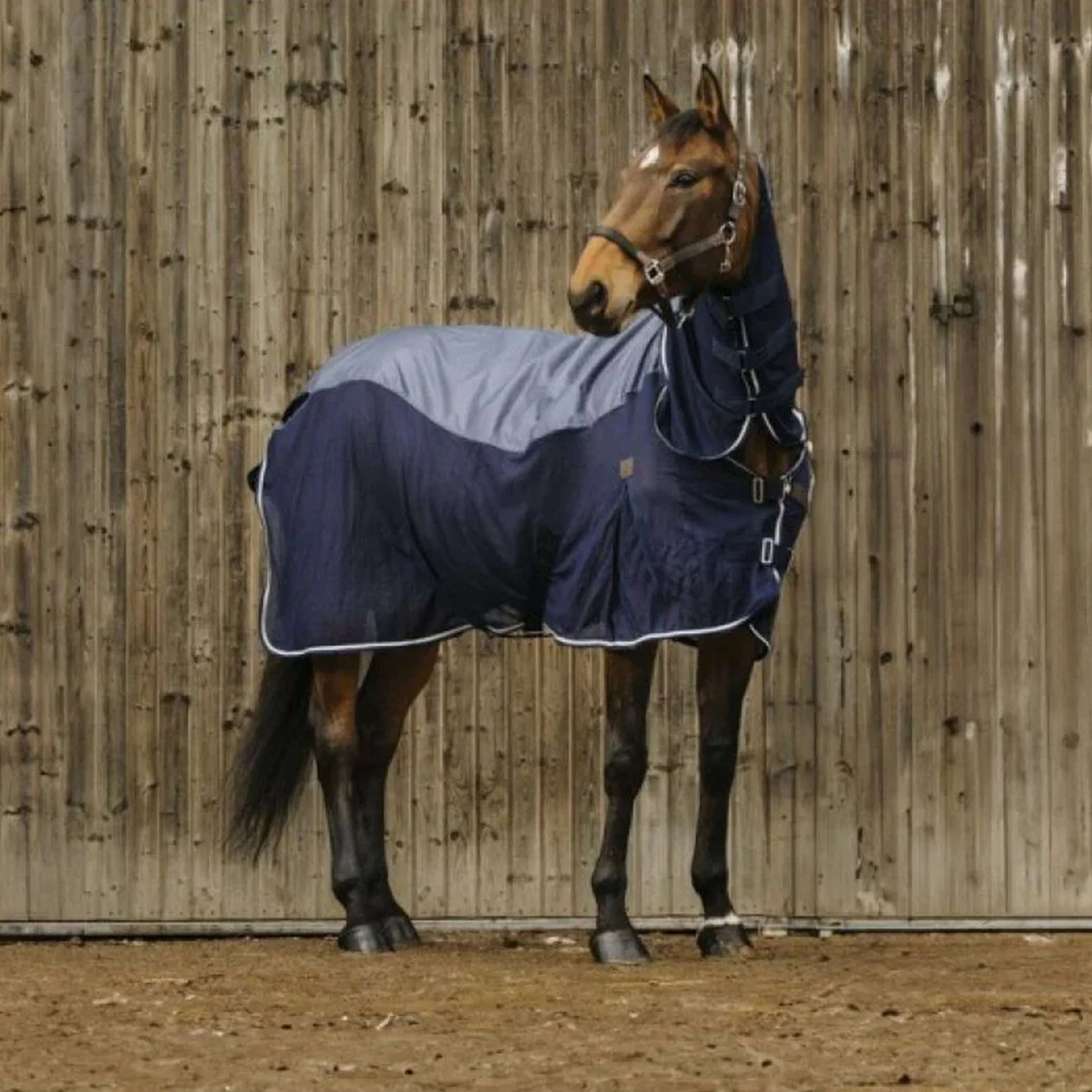 EQUITHÈME Couverture d'Été 3-in-1 Mixte Marin - Image 3