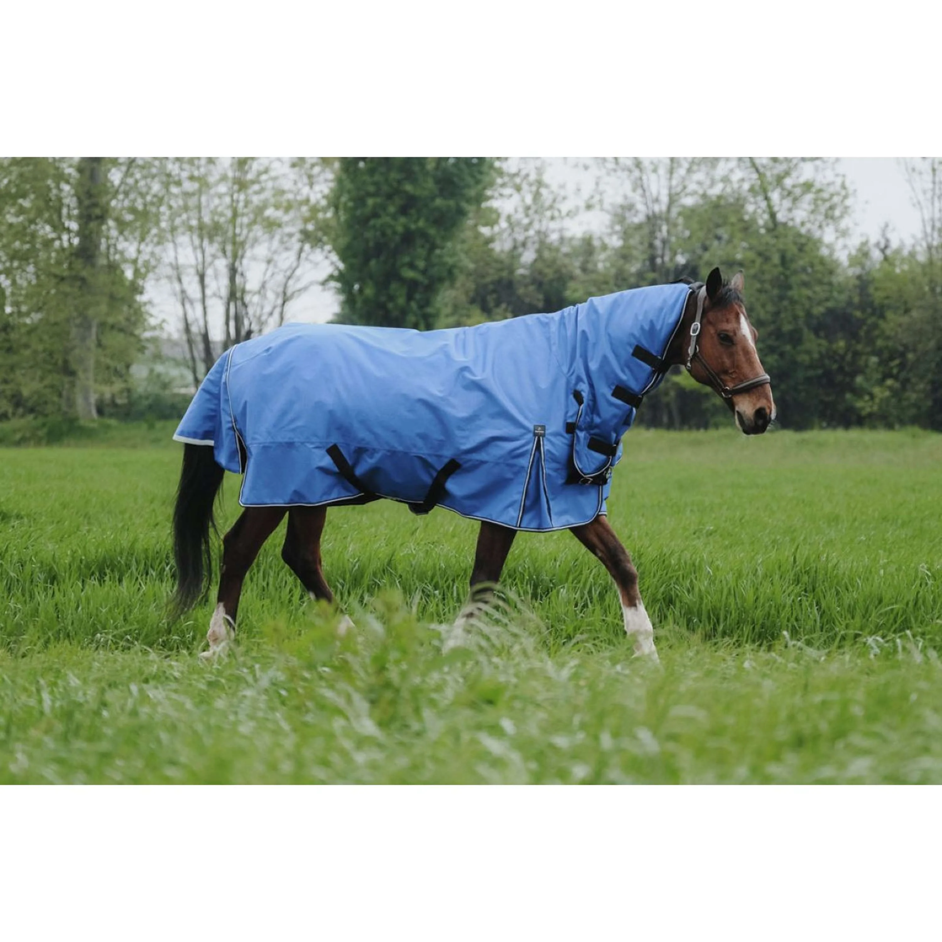 EQUITHÈME Couverture d'Extérieur Tyrex 1200D 100g Aisance Combo Bleu Royal - Image 2