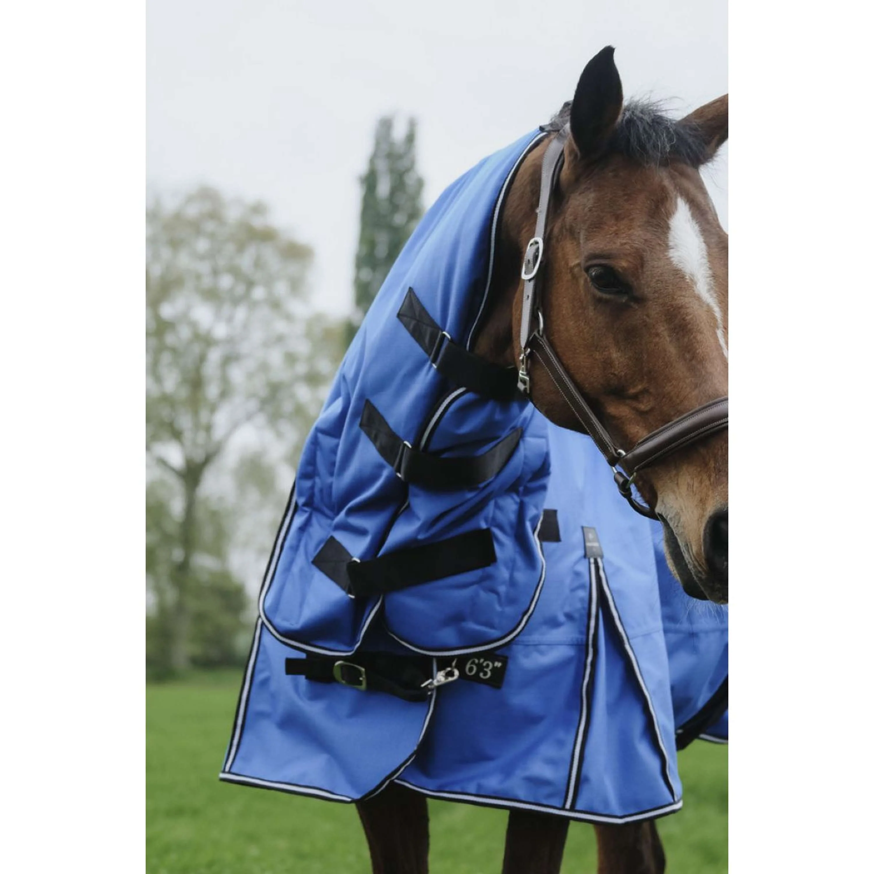 EQUITHÈME Couverture d'Extérieur Tyrex 1200D 100g Aisance Combo Bleu Royal - Image 4