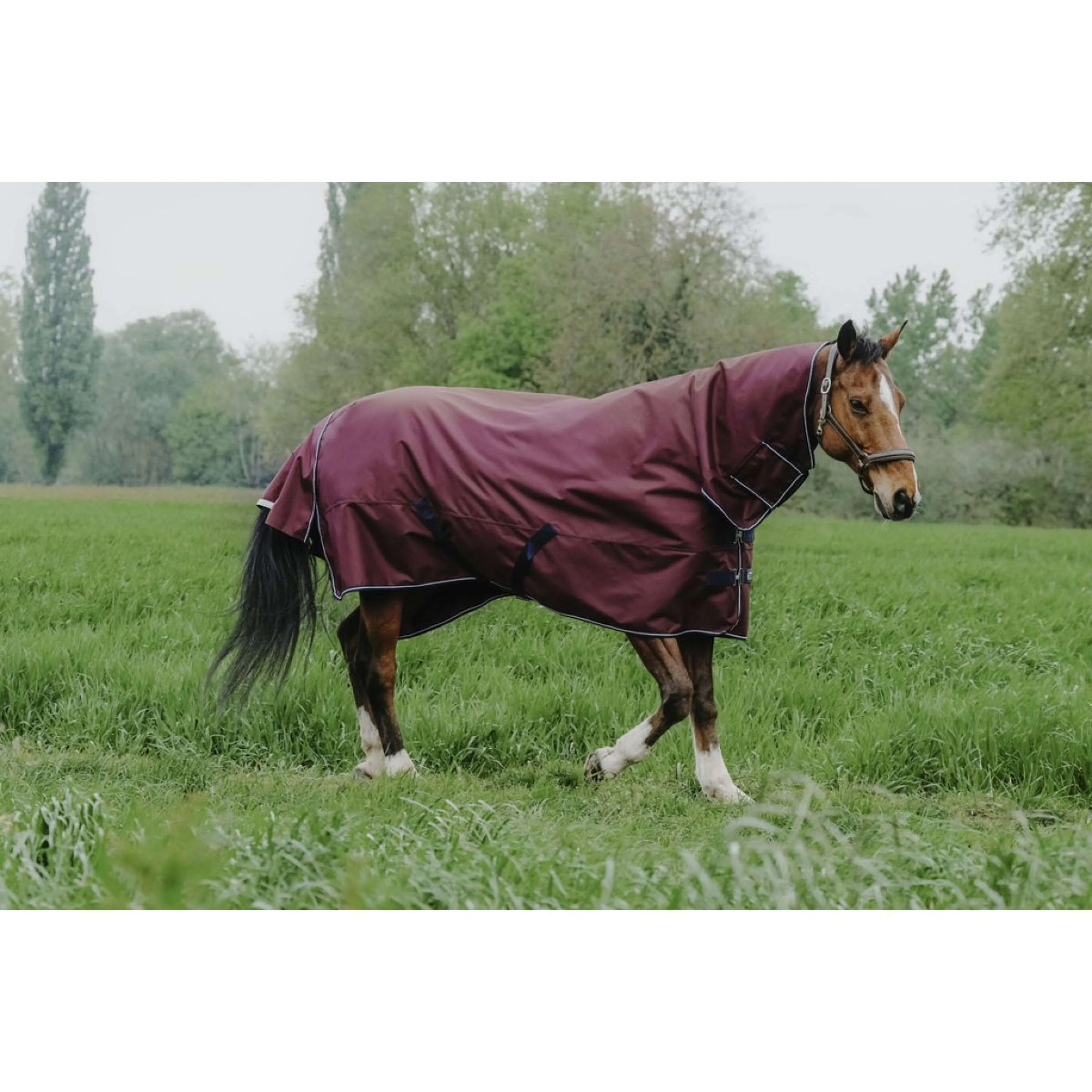 EQUITHÈME Couverture d'Extérieur Tyrex 1200D 200g Combo Bordeaux - Image 2