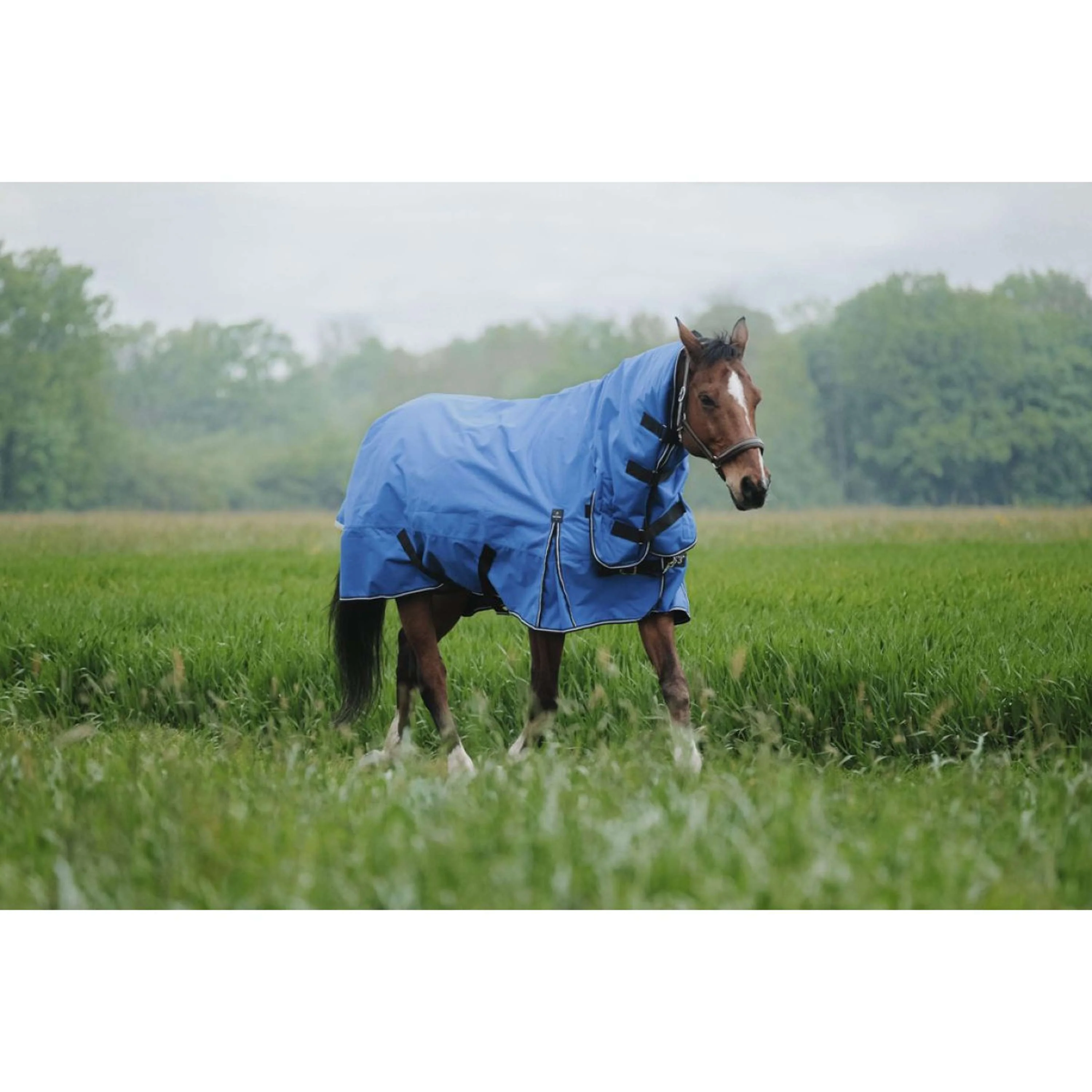 EQUITHÈME Couverture d'Extérieur Tyrex 1200D 300g Aisance Combo Bleu Royal - Image 3
