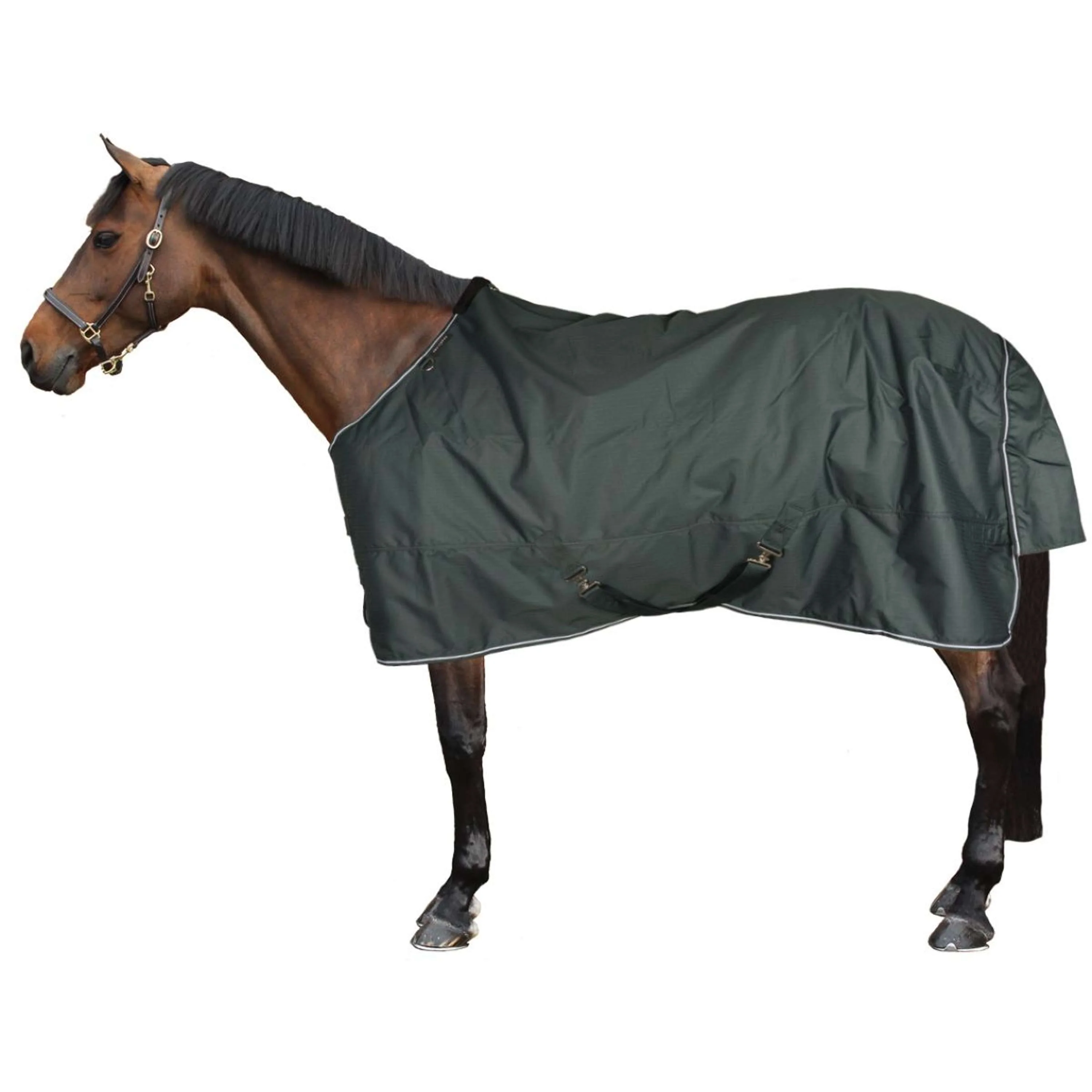 EQUITHÈME Couverture d'Extérieur Tyrex 600D Standard 300g Vert - Image 2