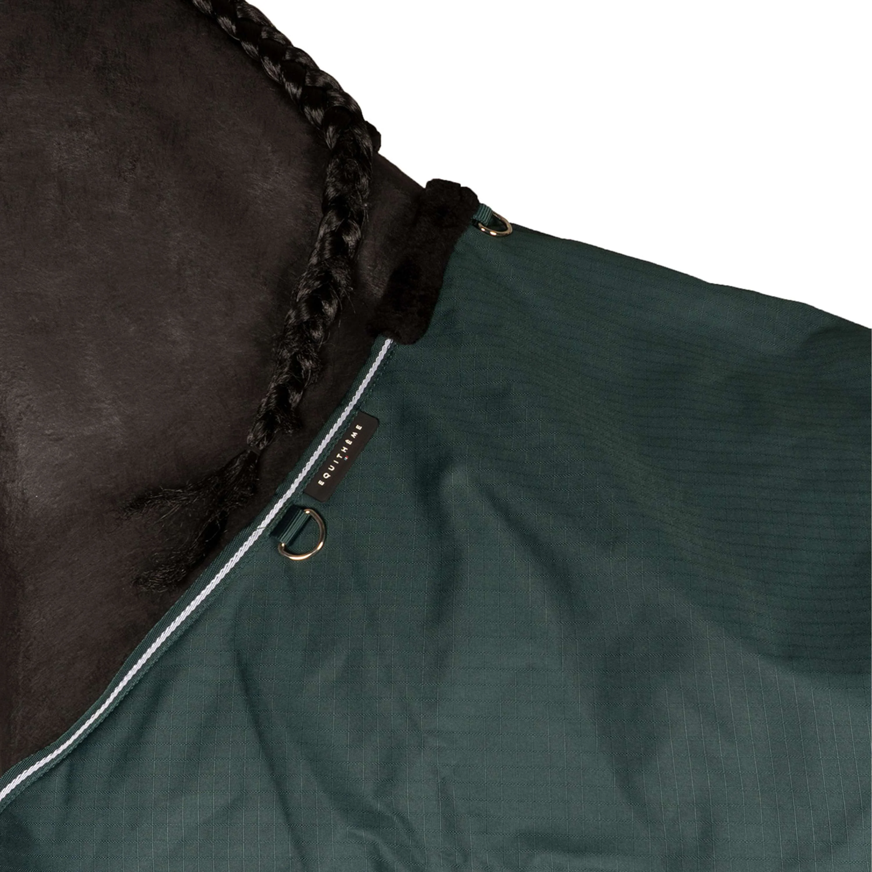 EQUITHÈME Couverture d'Extérieur Tyrex 600D Standard 300g Vert - Image 5