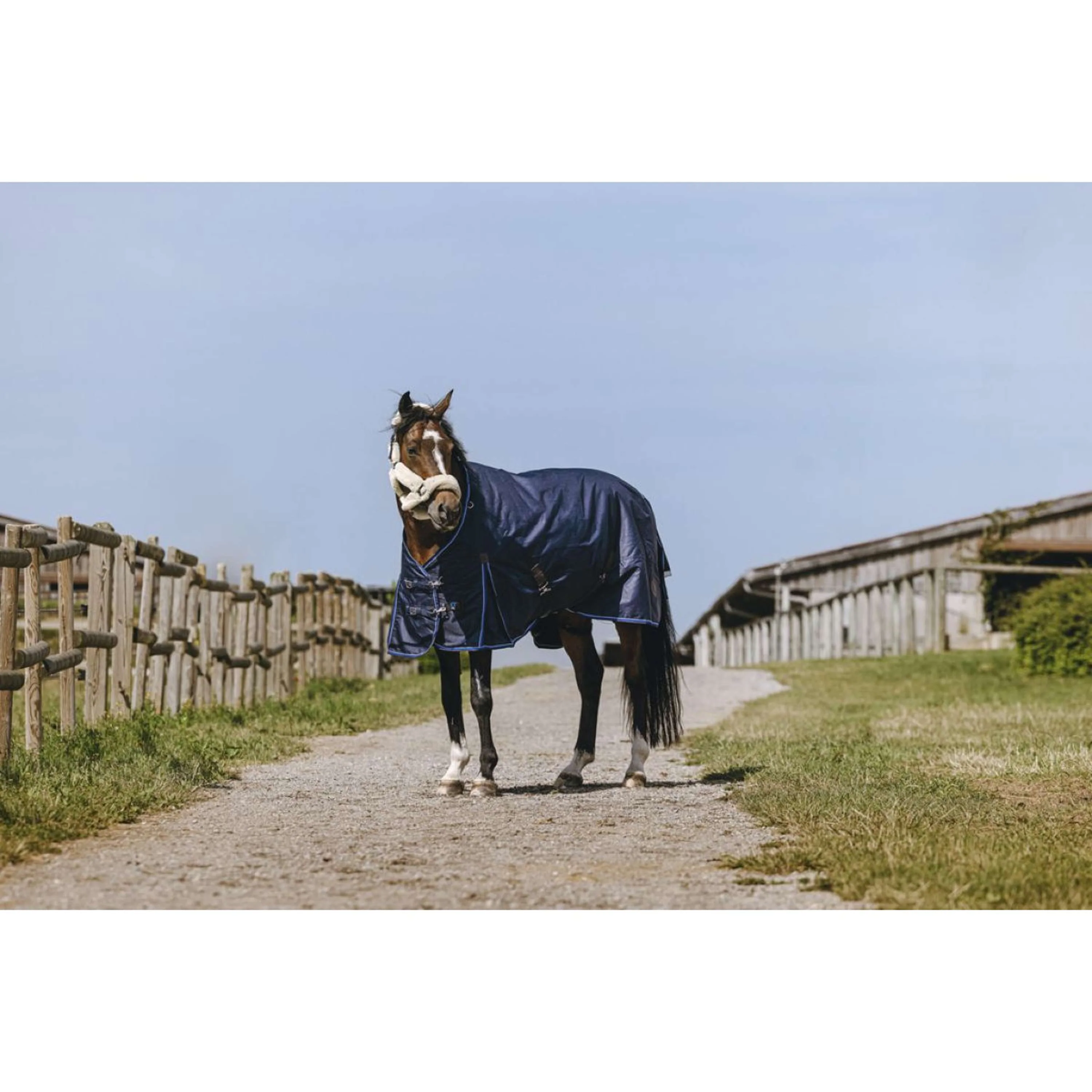 EQUITHÈME Couverture d'Extérieur Classic 1200D High Neck 200g Marin - Image 2