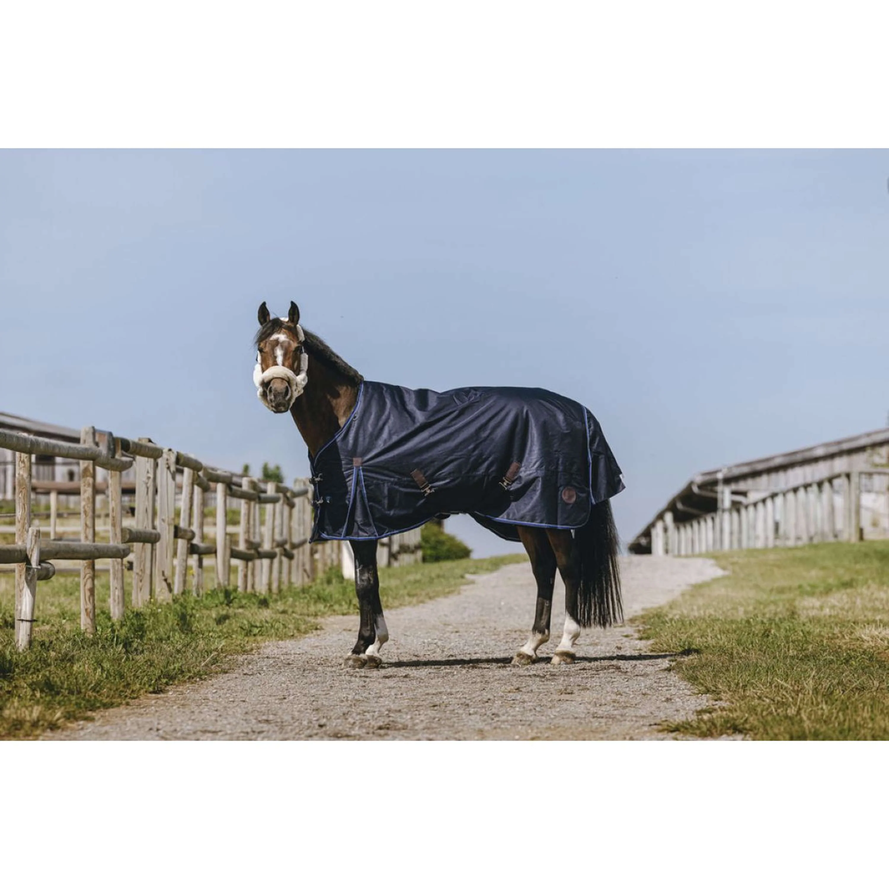EQUITHÈME Couverture d'Extérieur Classic 1200D High Neck 200g Marin - Image 3
