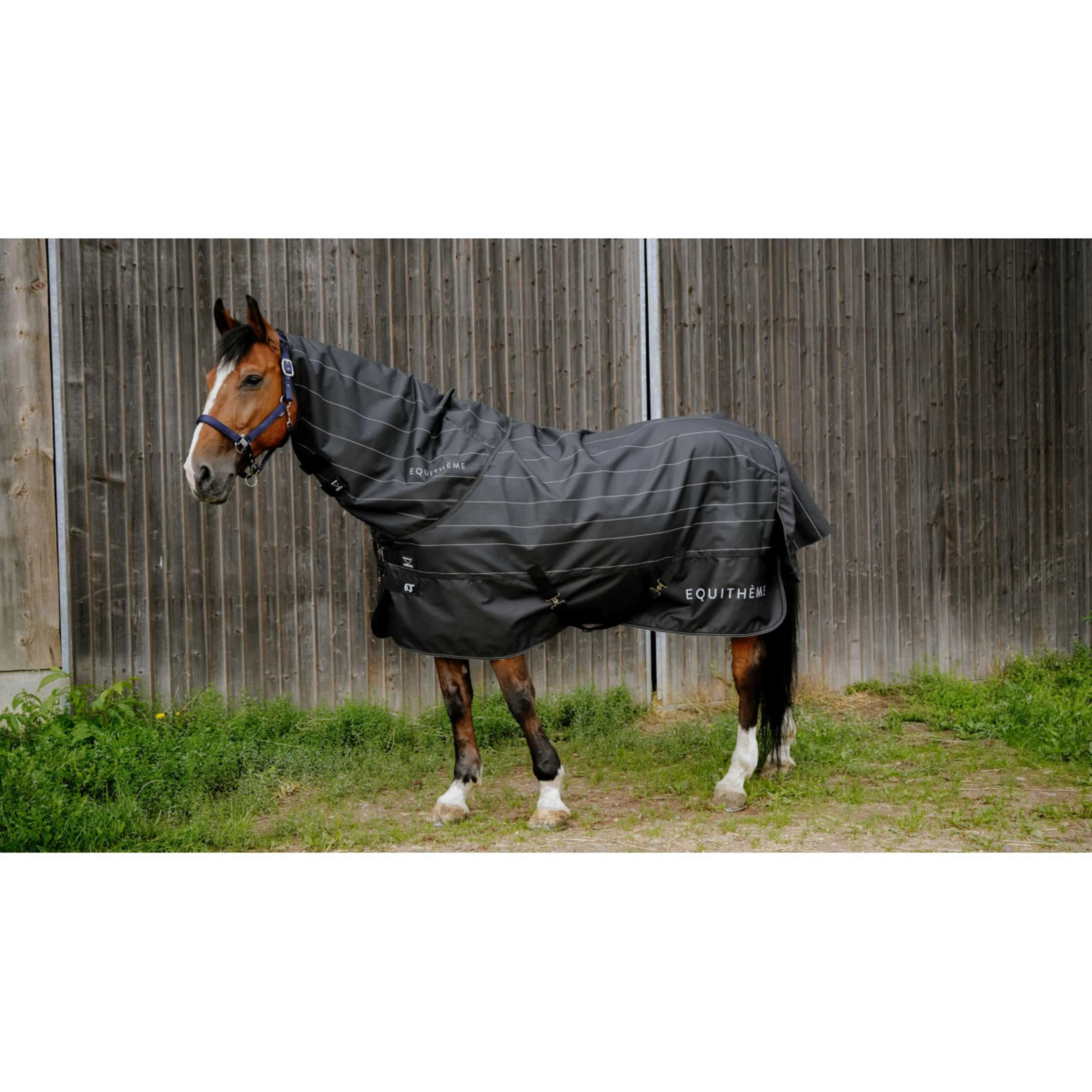 EQUITHÈME Couverture Imperméable Lumin 600D 50g Noir - Image 2