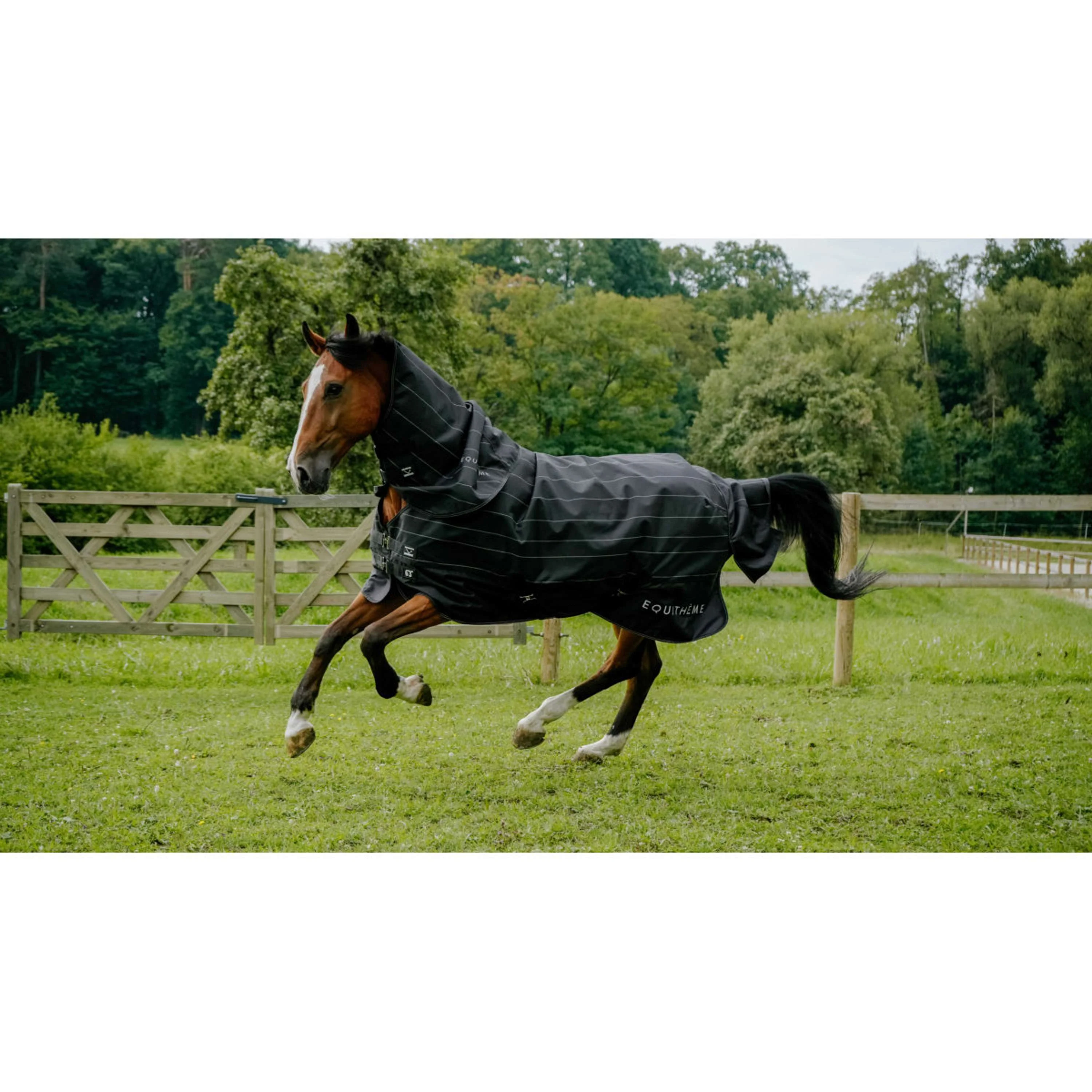 EQUITHÈME Couverture Imperméable Lumin 600D 50g Noir - Image 7
