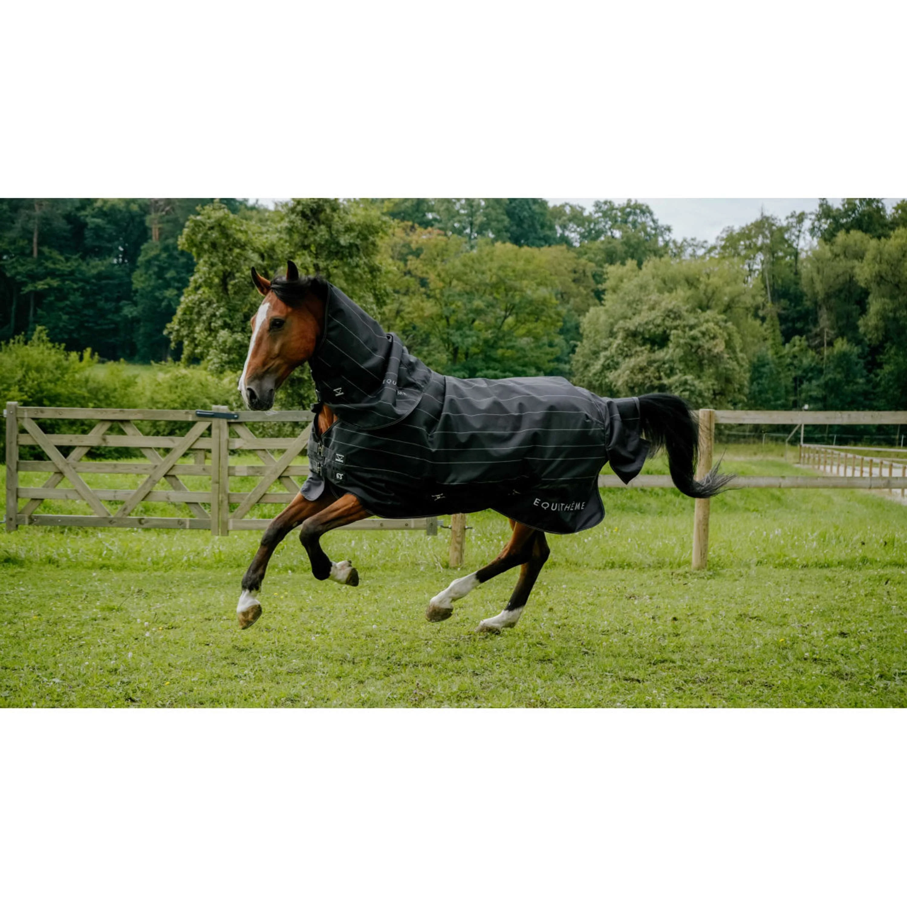 EQUITHÈME Couverture Imperméable TYREX Lumin 600D 0g Noir - Image 7