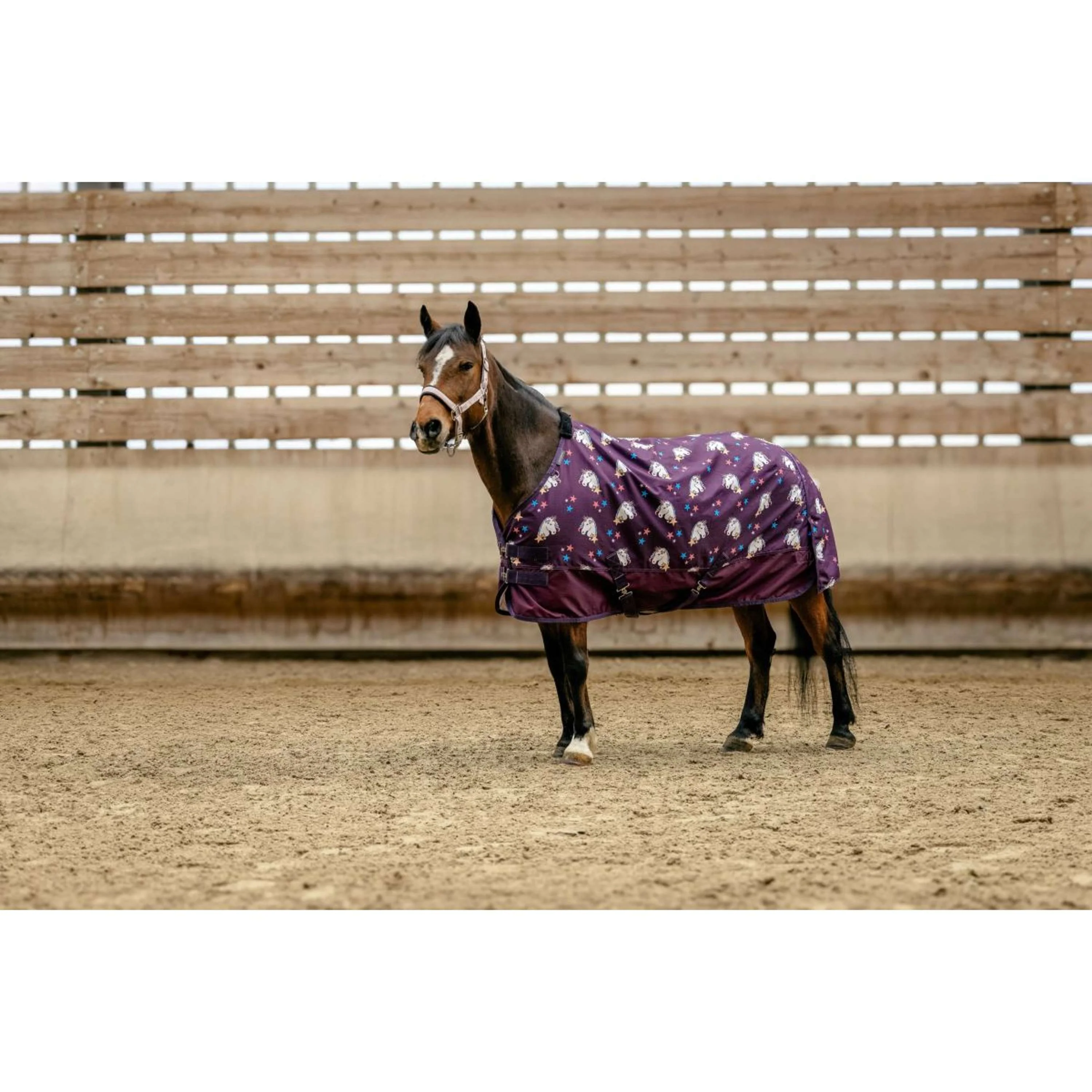 EQUITHÈME Couverture Turnout Unicorn 600D 0g Prune - Image 3