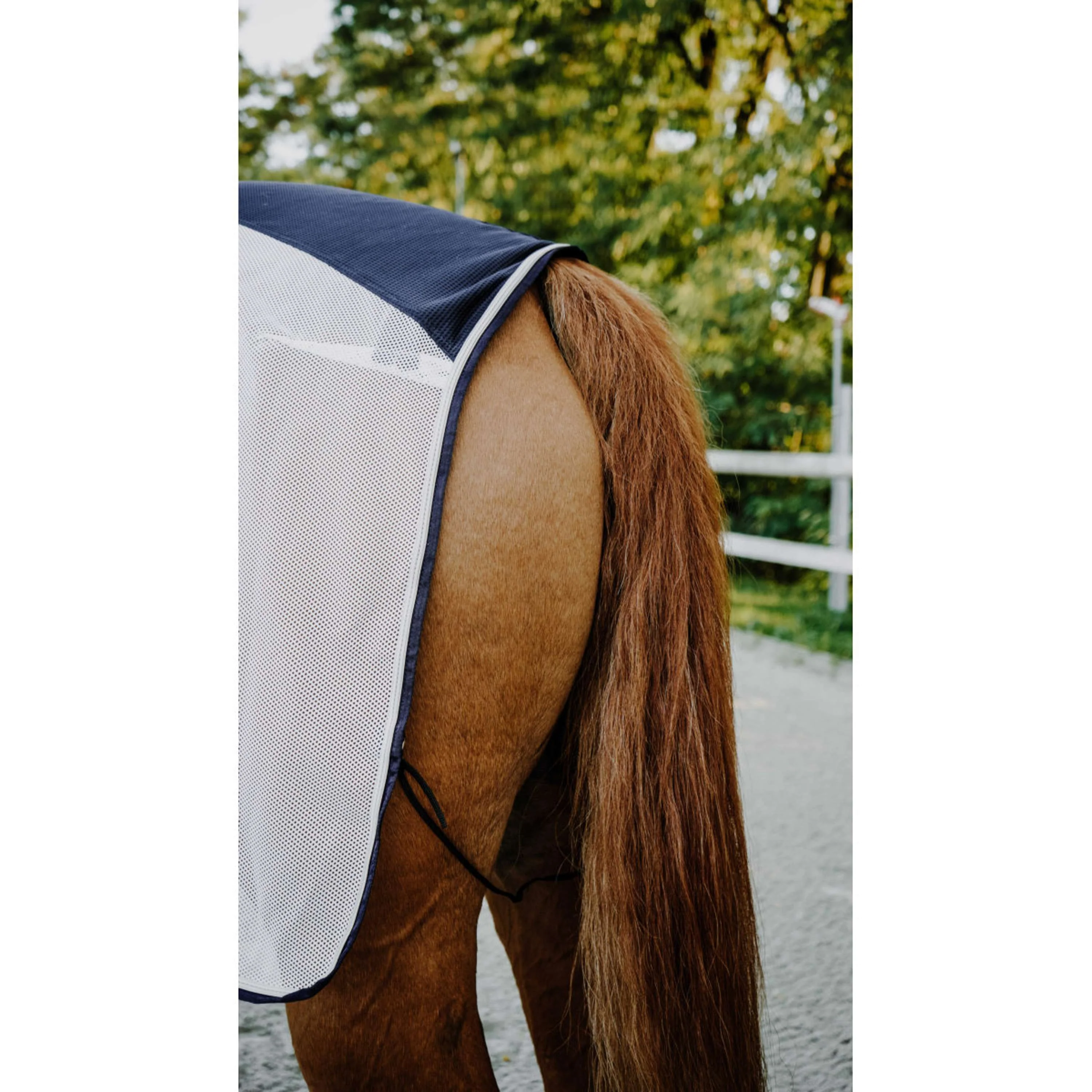 EQUITHÈME Couvre-reins Flycool square Marine/Blanc - Image 3