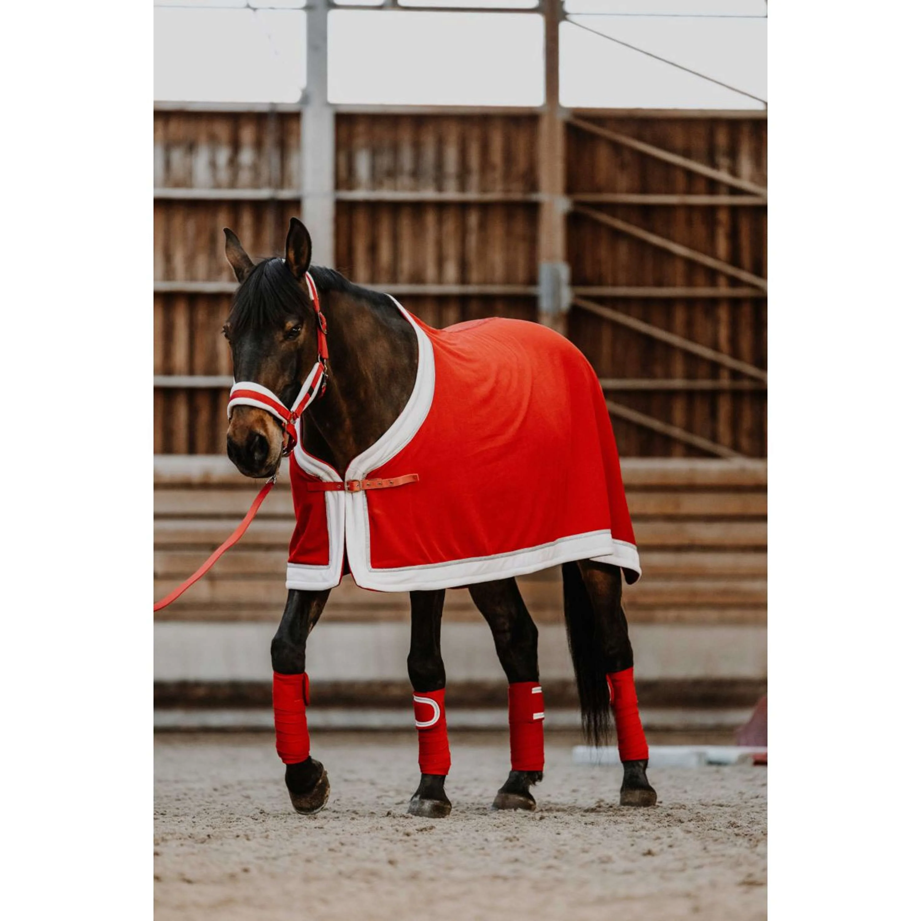 EQUITHÈME Ensemble Licol Noël Rouge - Image 3