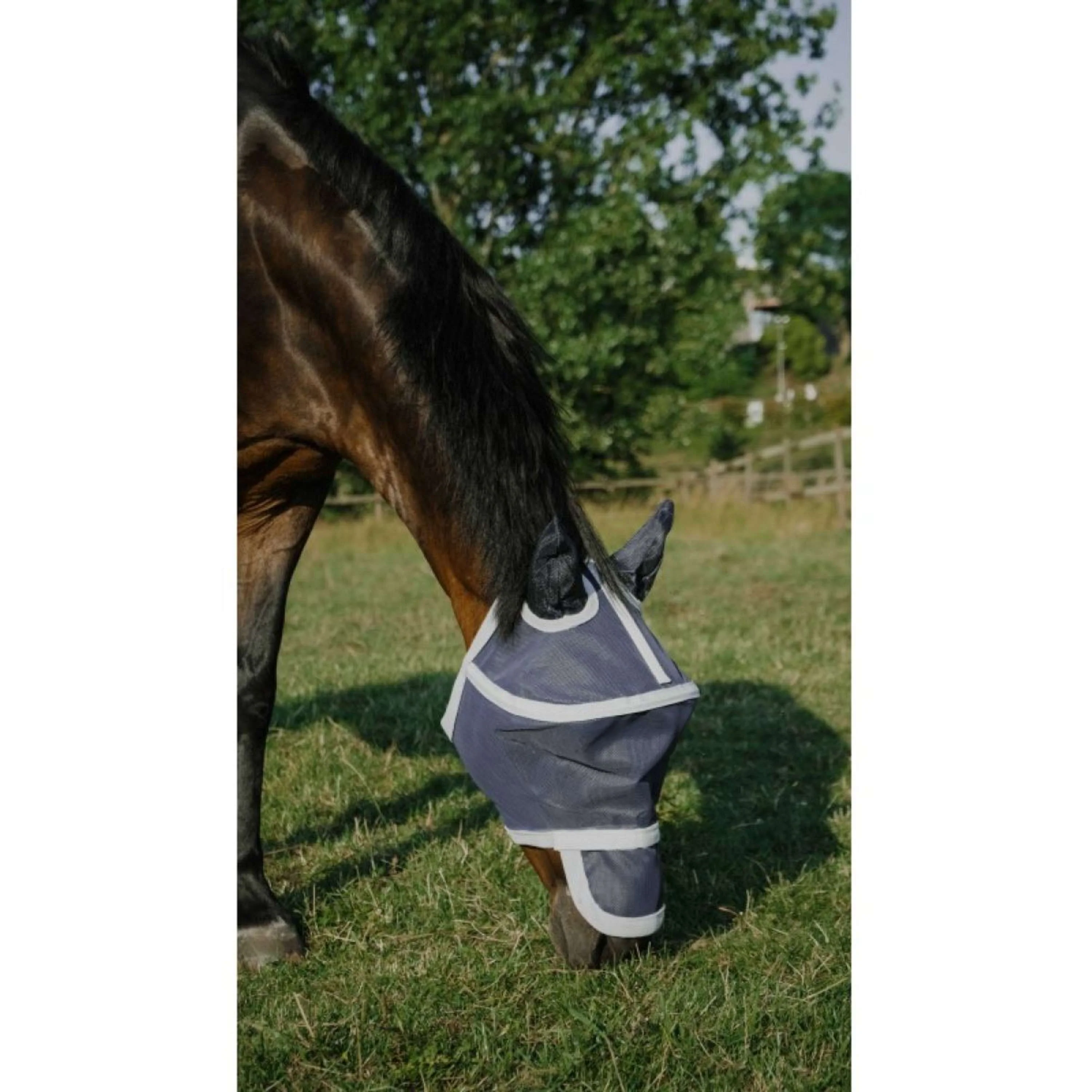 EQUITHÈME Masque Anti-Mouches Hoop avec Protection UV Marin - Image 10