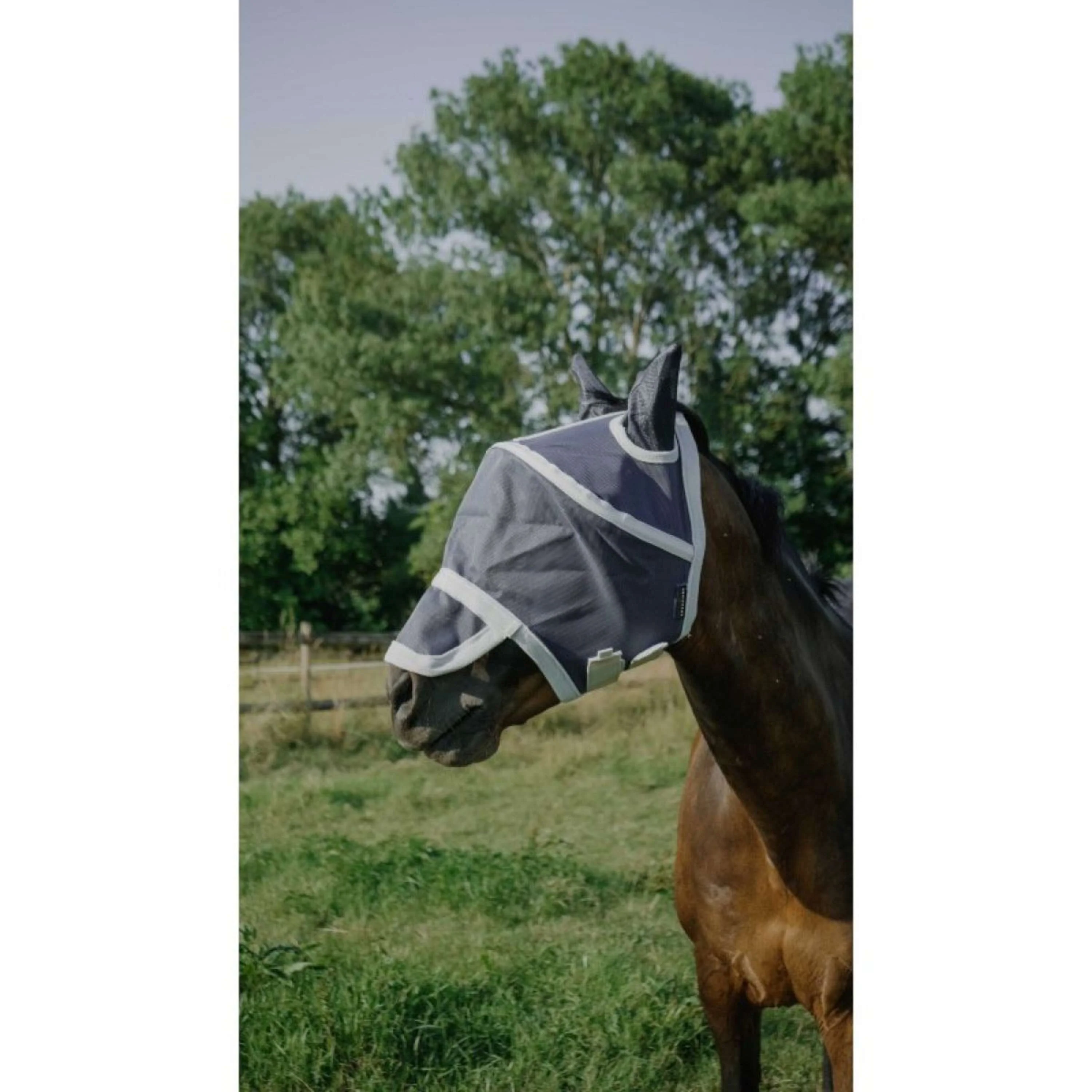 EQUITHÈME Masque Anti-Mouches Hoop avec Protection UV Marin - Image 9