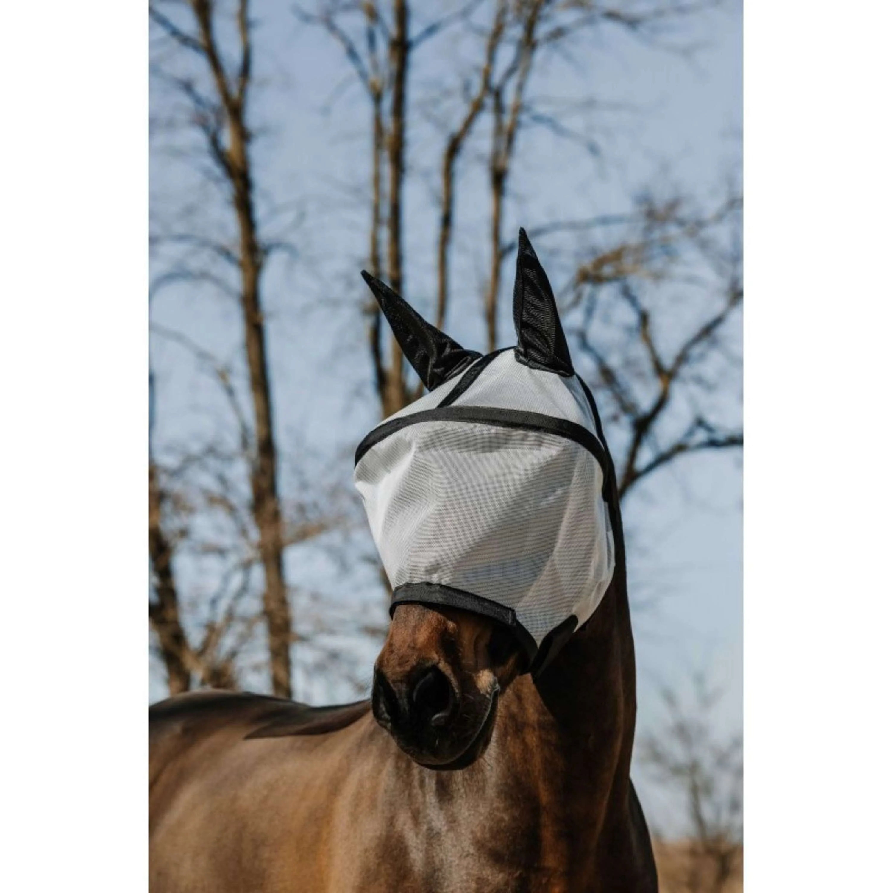 EQUITHÈME Masque Anti-Mouches Protec avec Protection UV Argent - Image 2