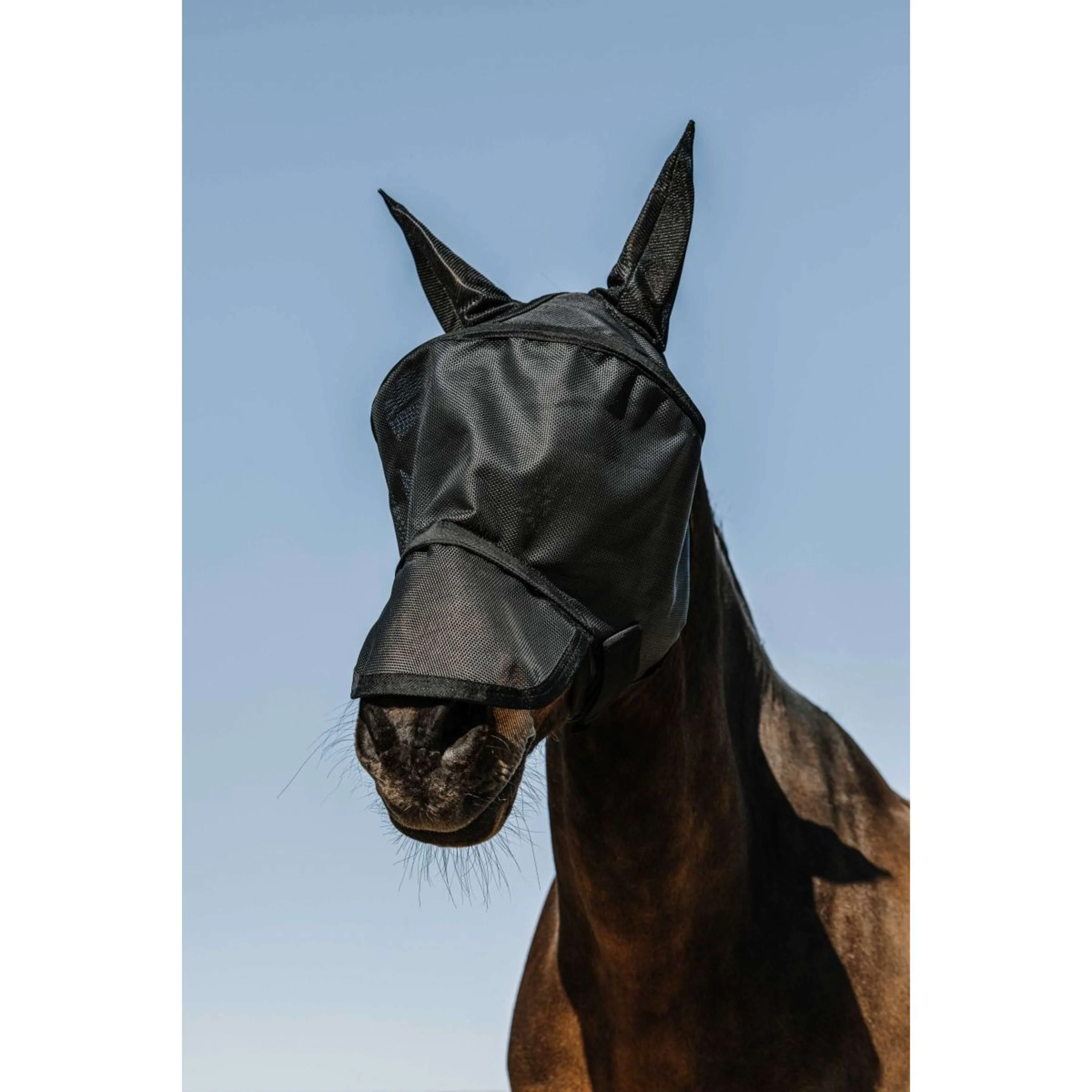EQUITHÈME Masque Anti-Mouches Protec avec Protection UV Noir - Image 5