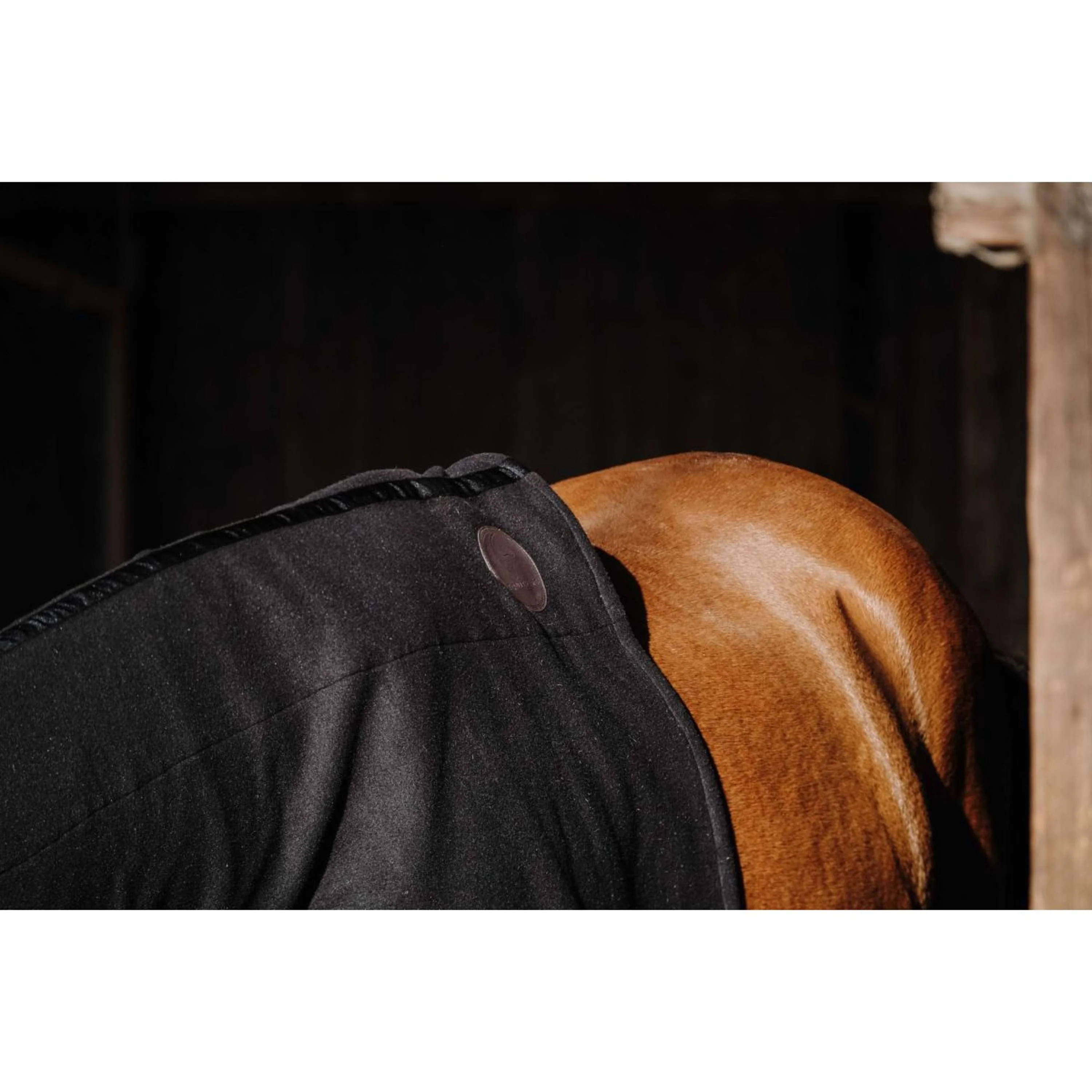 EQUITHÈME Protecteur de Cou Fleece Noir - Image 2