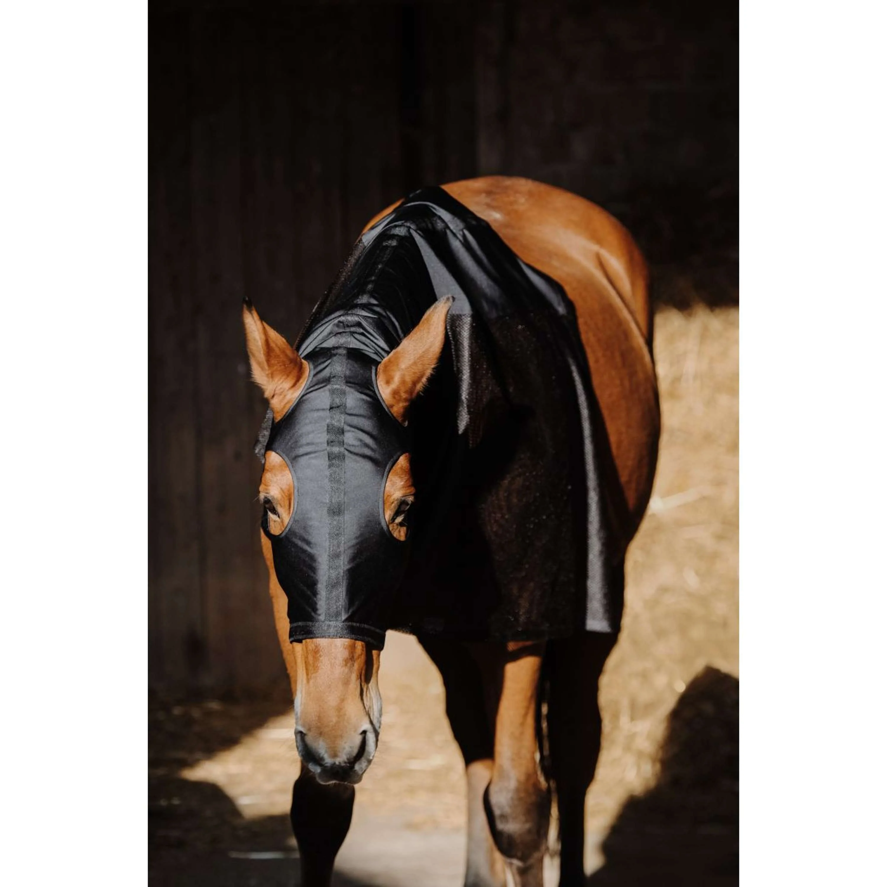 EQUITHÈME Protecteur de cou Lycra/Mesh Noir - Image 2