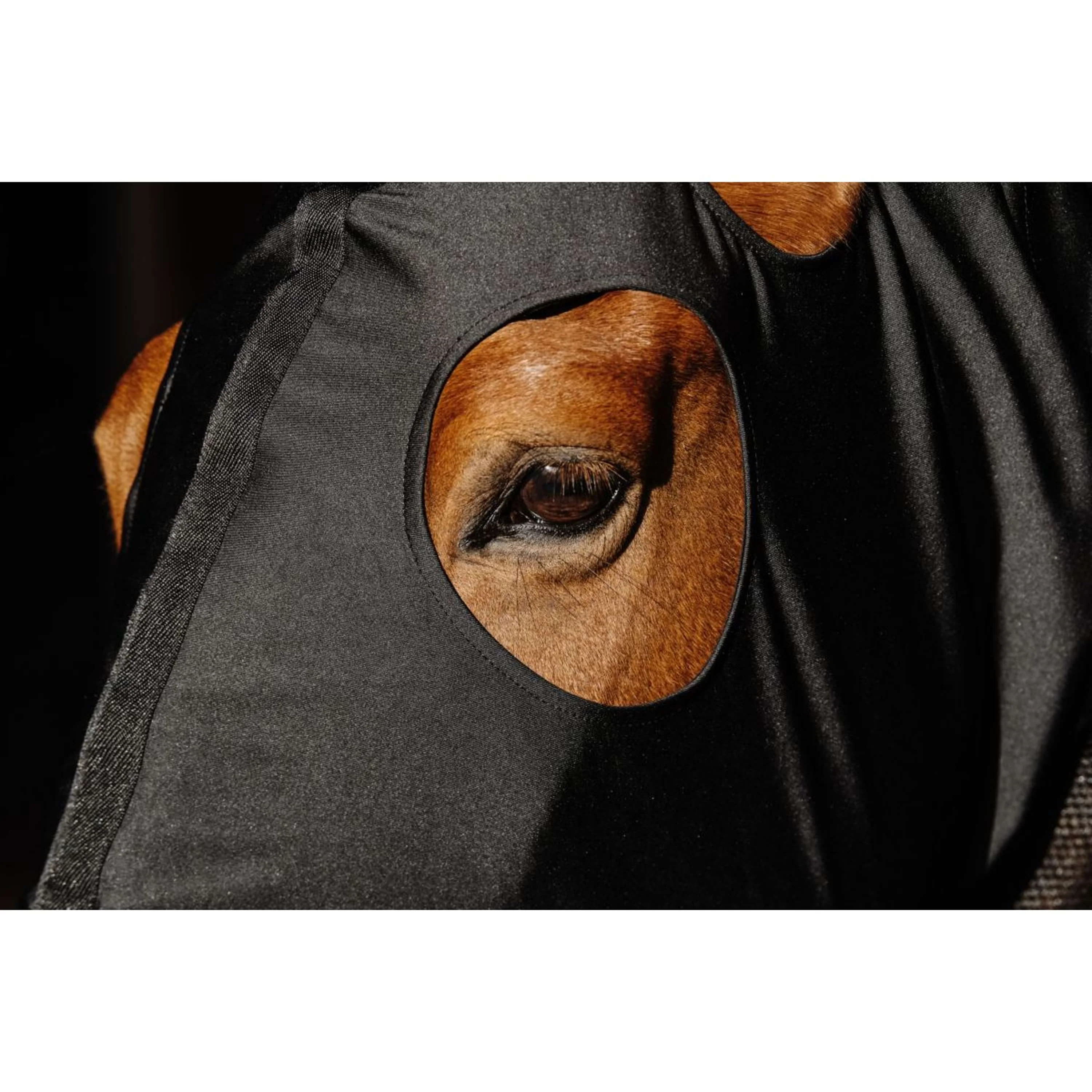 EQUITHÈME Protecteur de cou Lycra/Mesh Noir - Image 3