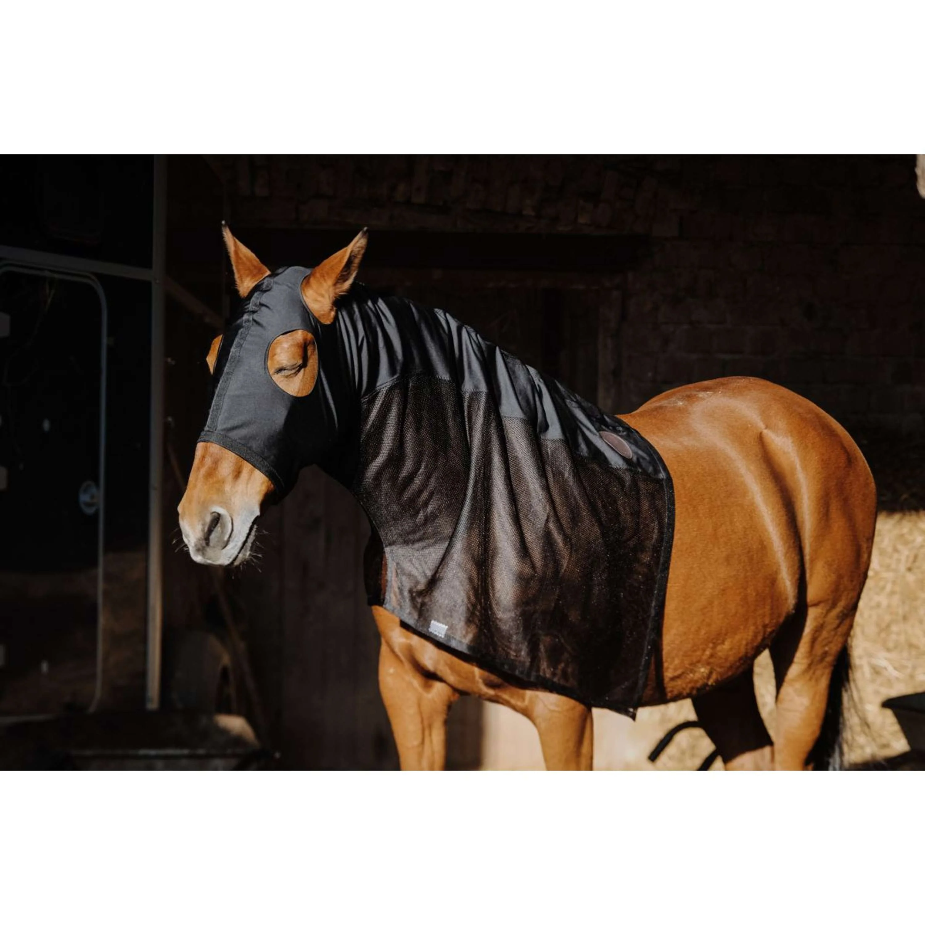 EQUITHÈME Protecteur de cou Lycra/Mesh Noir - Image 5