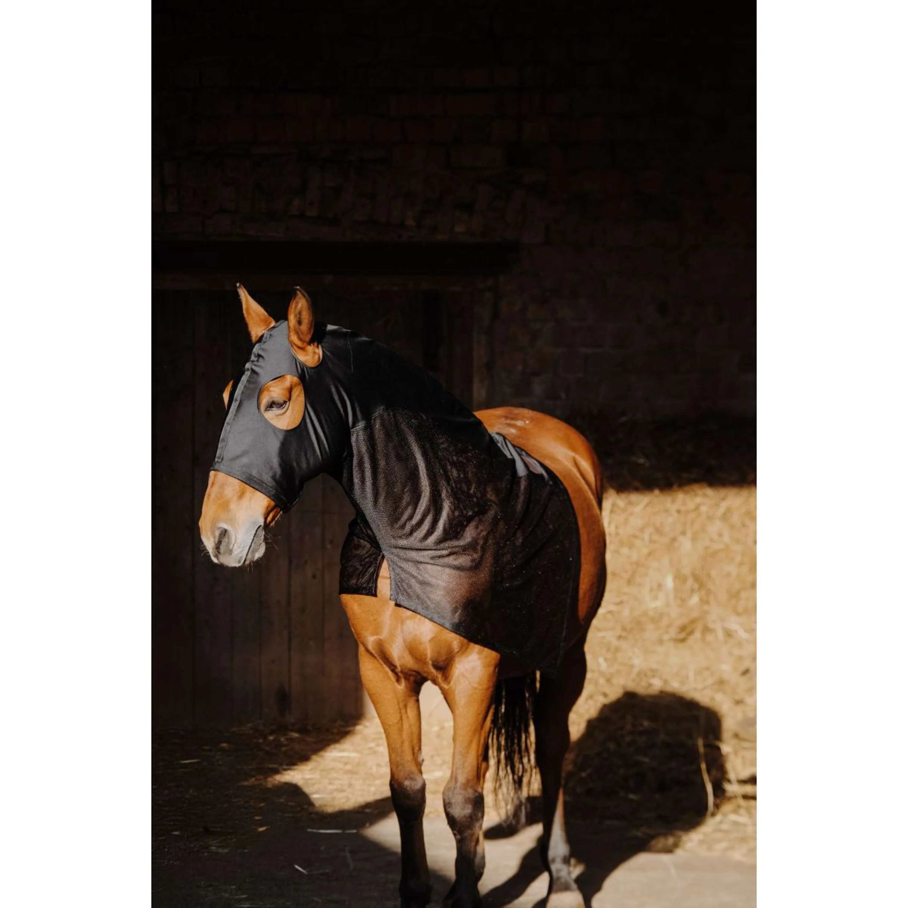 EQUITHÈME Protecteur de cou Lycra/Mesh Noir - Image 6
