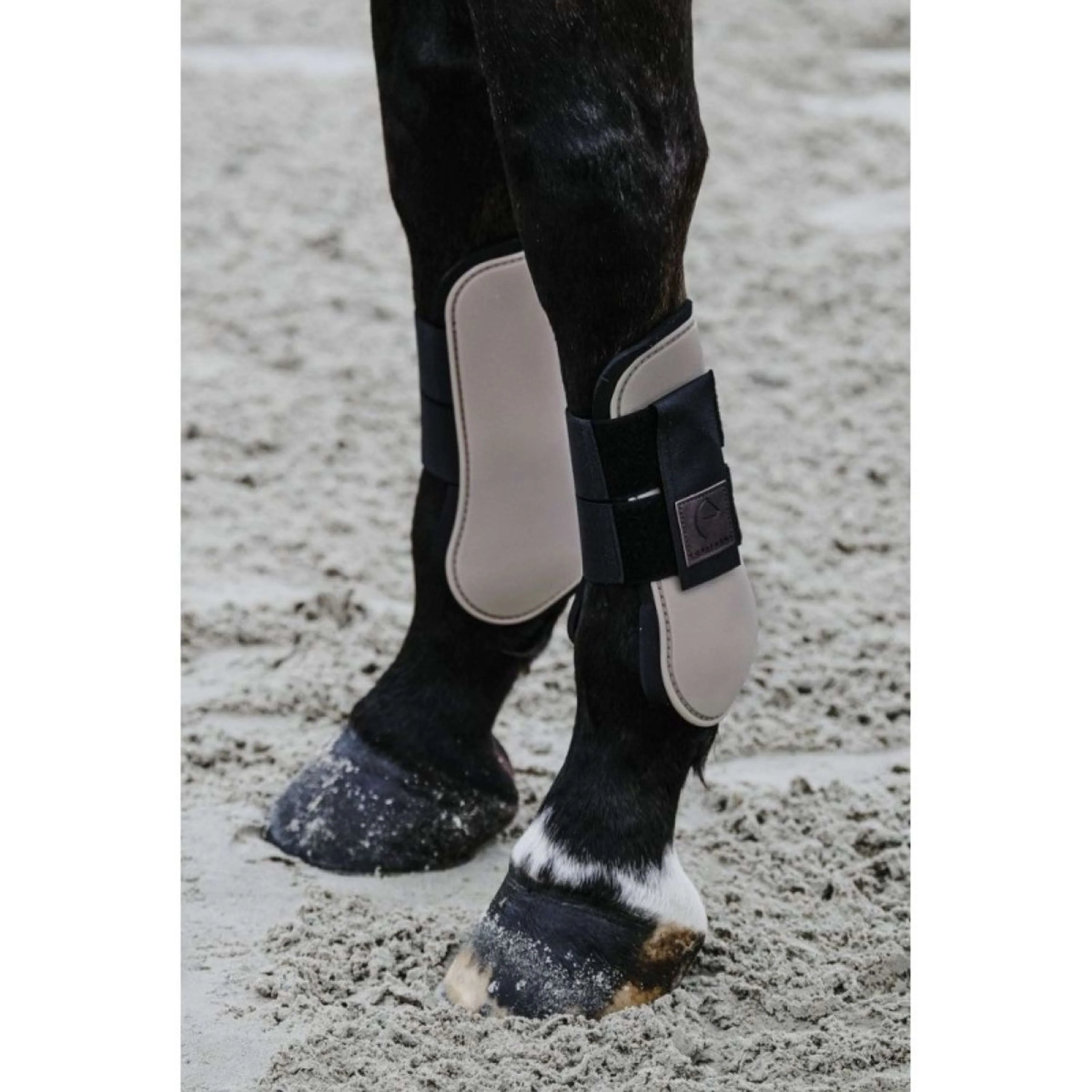 EQUITHÈME Protèges-Tendons Taupe - Image 2