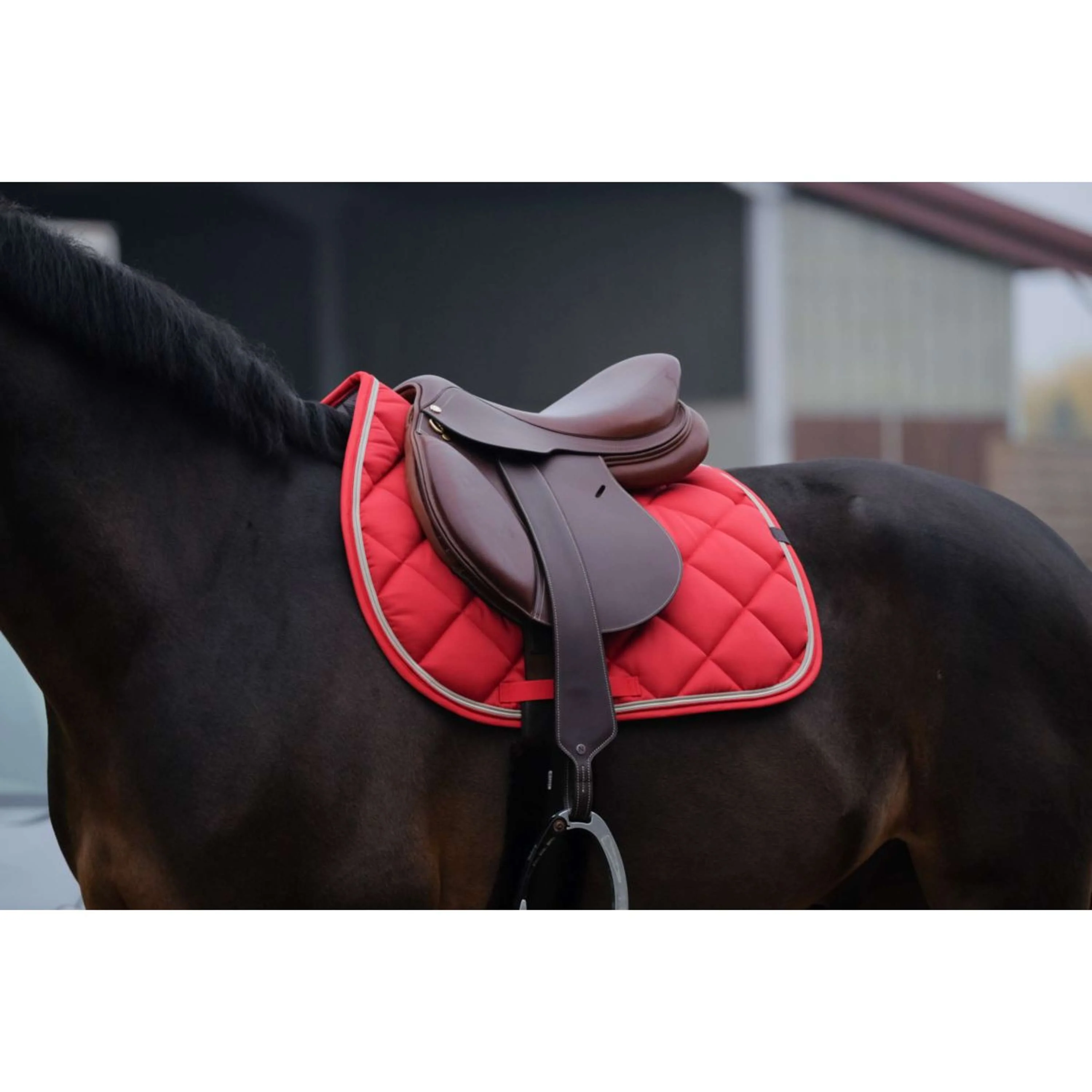 EQUITHÈME Tapis de Selle Classic de Saut Rouge - Image 2