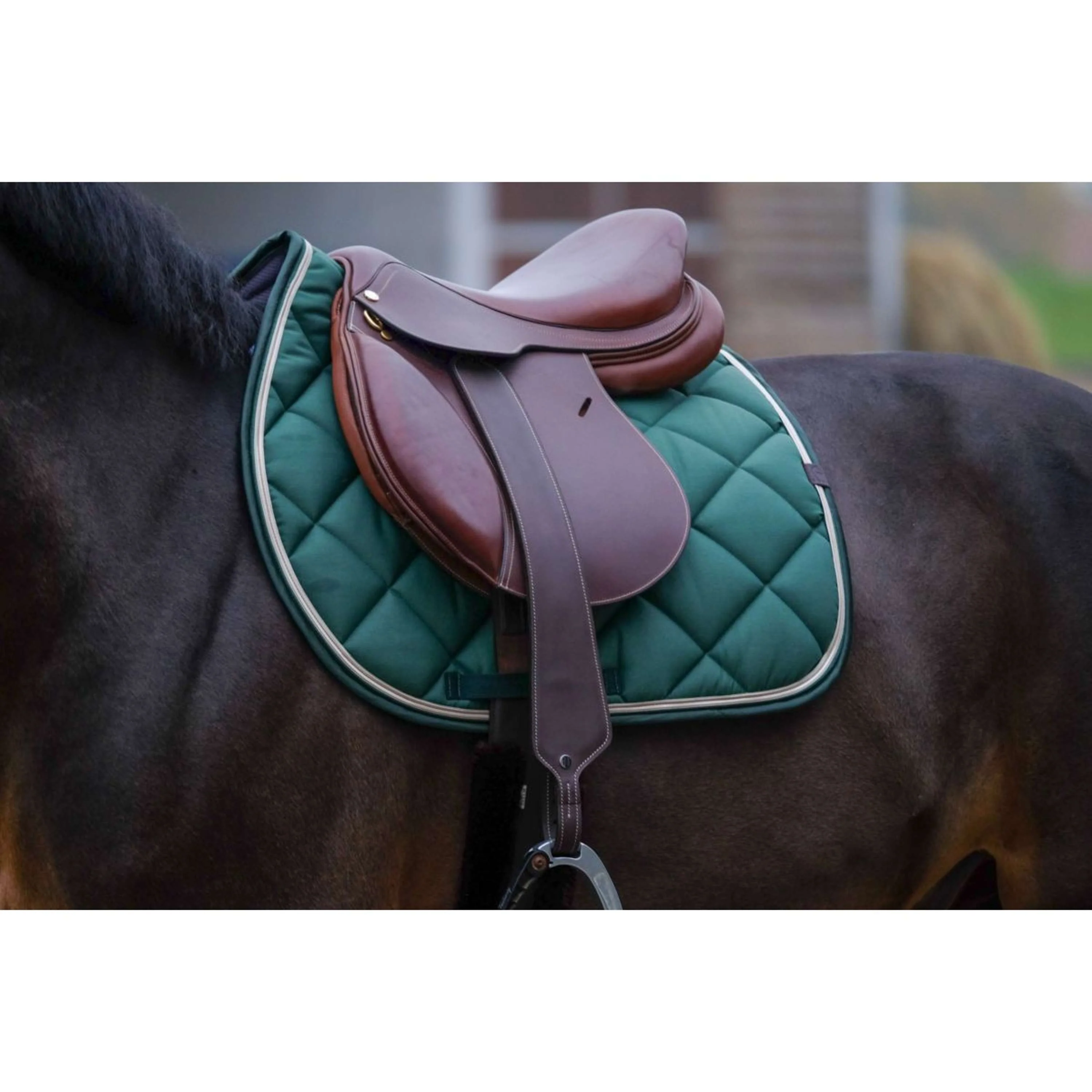EQUITHÈME Tapis de Selle Classic de Saut Vert Foncé - Image 2