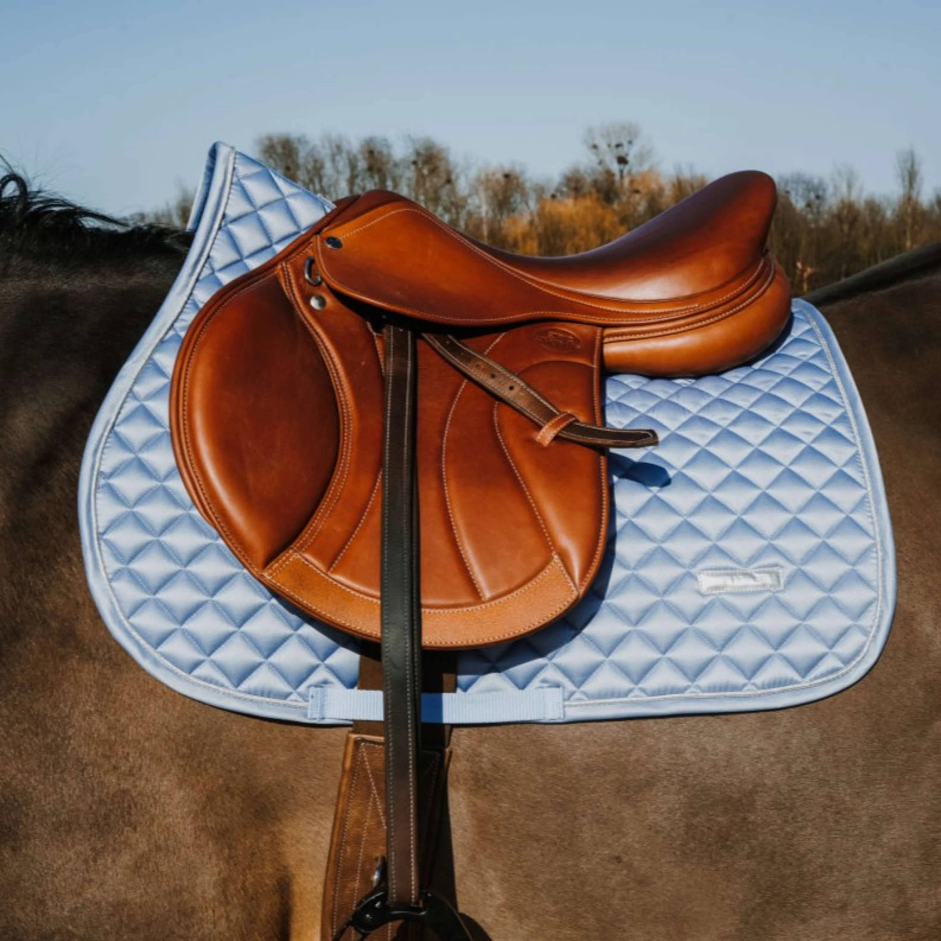 EQUITHÈME Tapis de Selle Nacre de Saut Bleu - Image 2