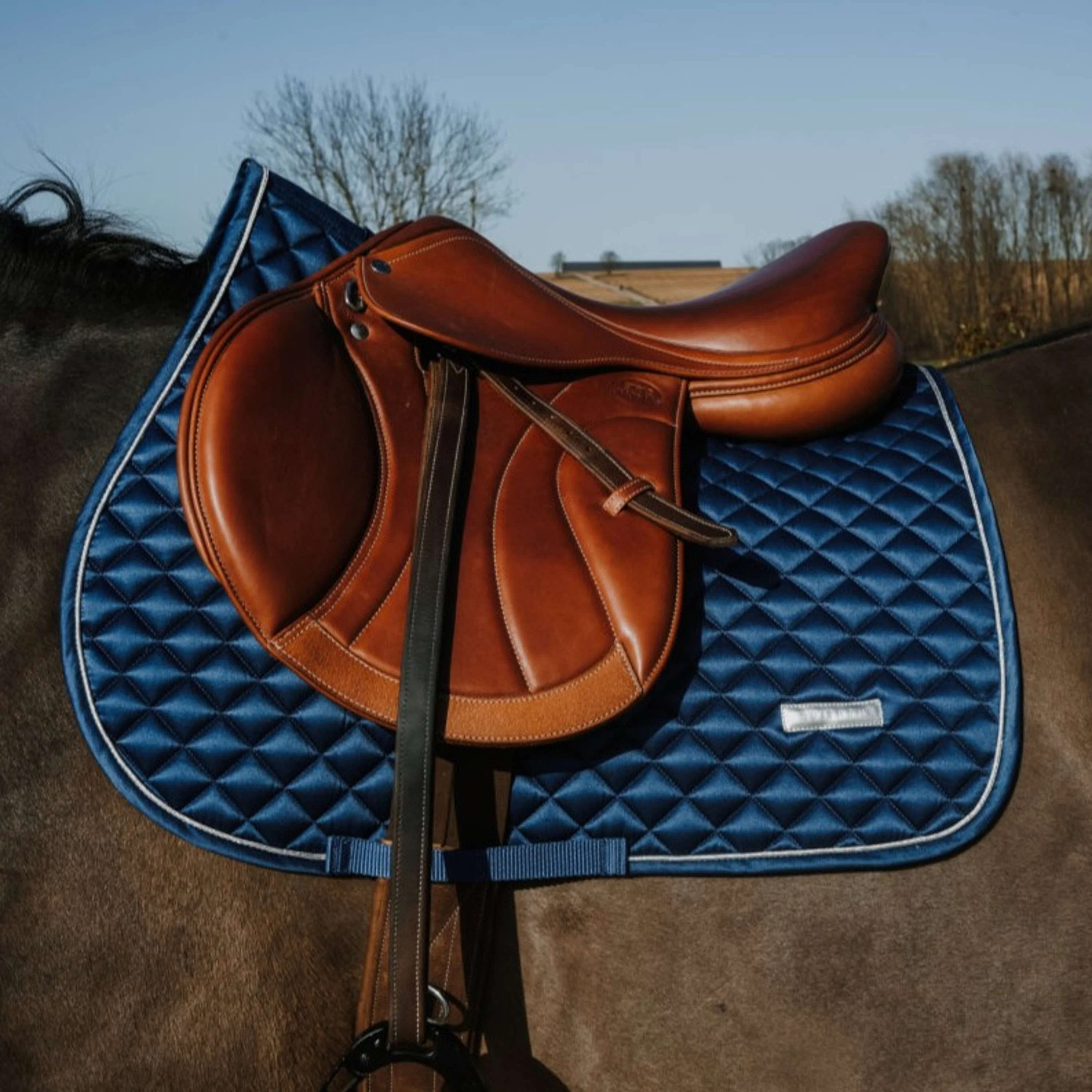 EQUITHÈME Tapis de Selle Nacre de Saut Bleu Acier - Image 2