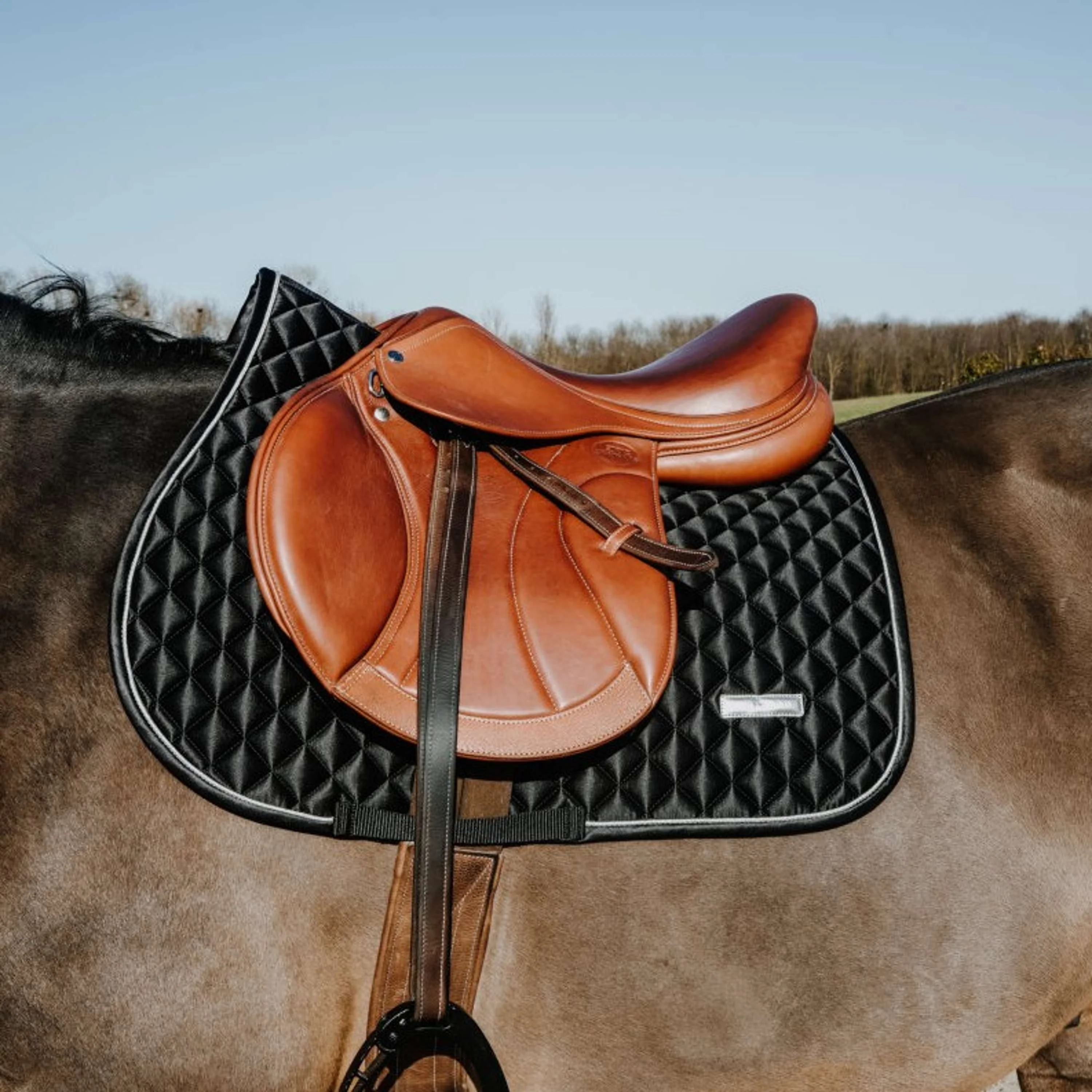 EQUITHÈME Tapis de Selle Nacre de Saut Noir - Image 2