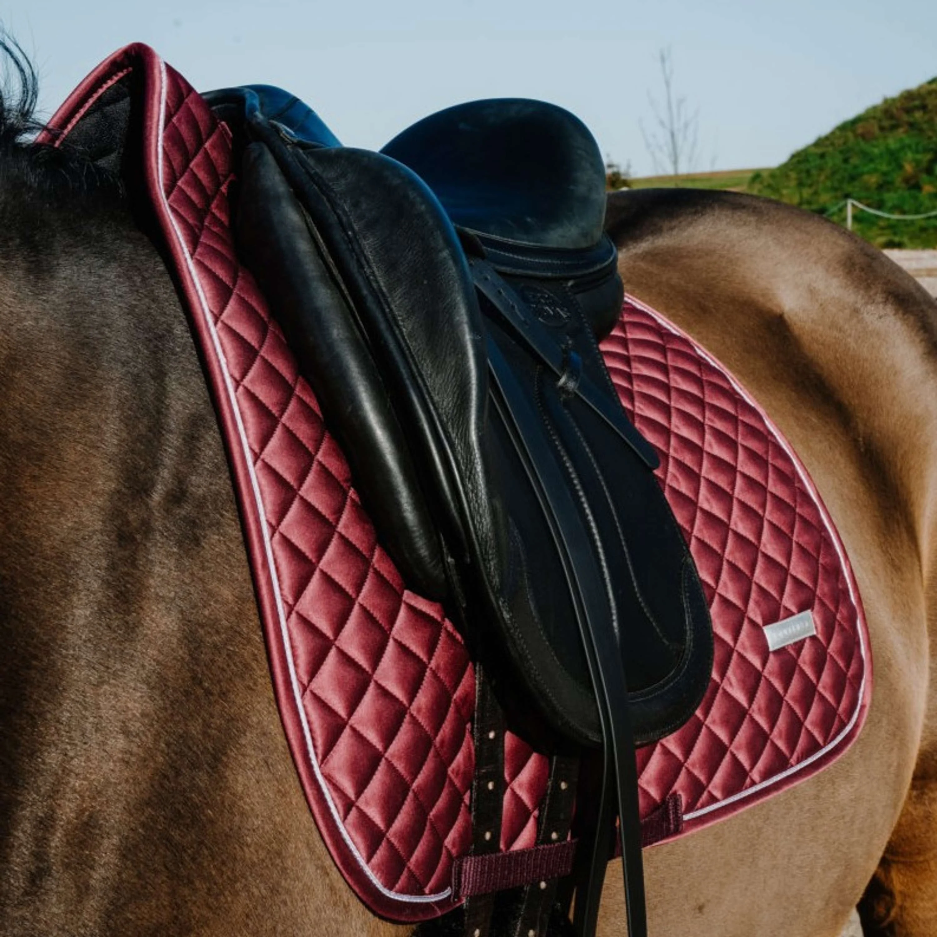 EQUITHÈME Tapis de Selle Nacre Dressage Bordeaux - Image 3