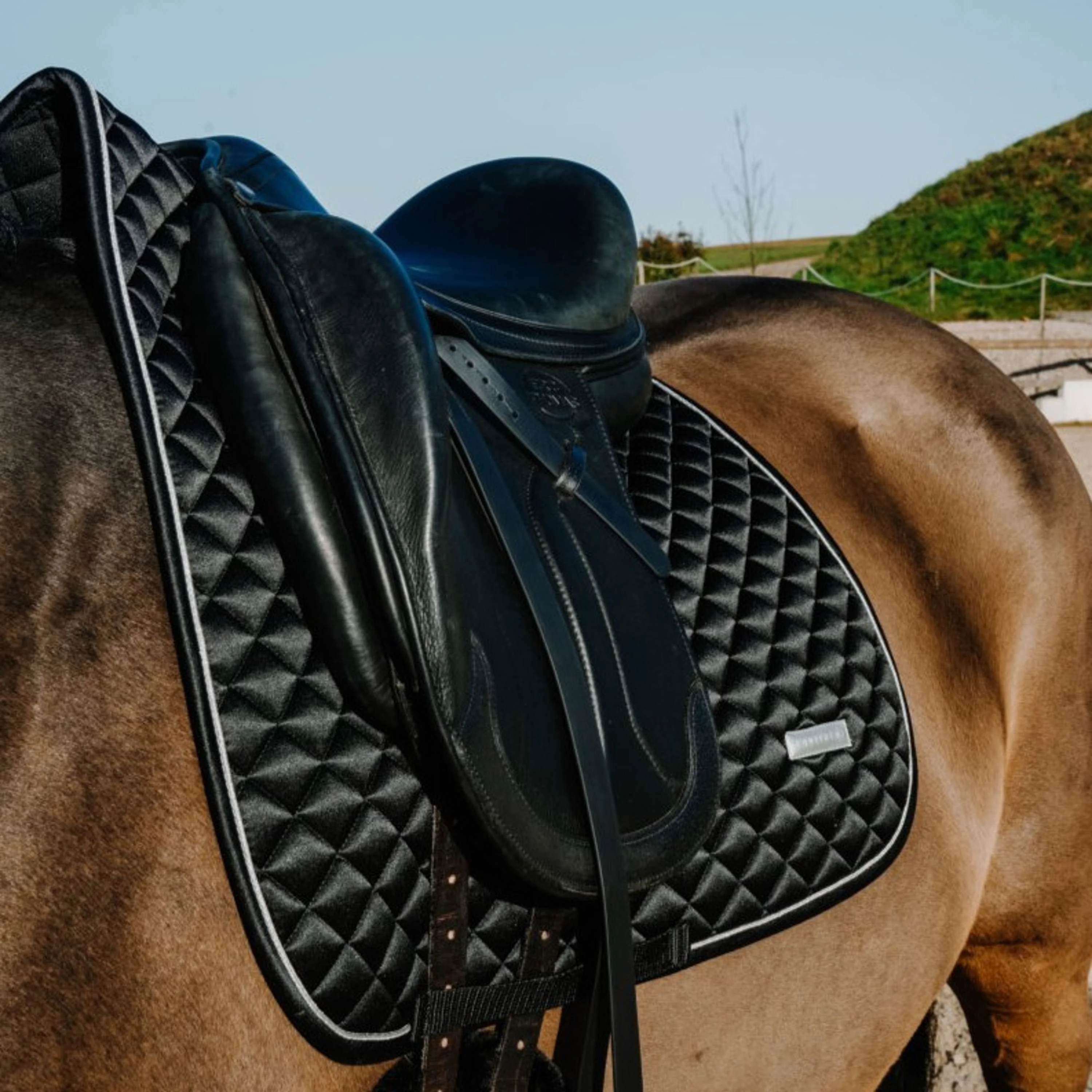 EQUITHÈME Tapis de Selle Nacre Dressage Noir - Image 3