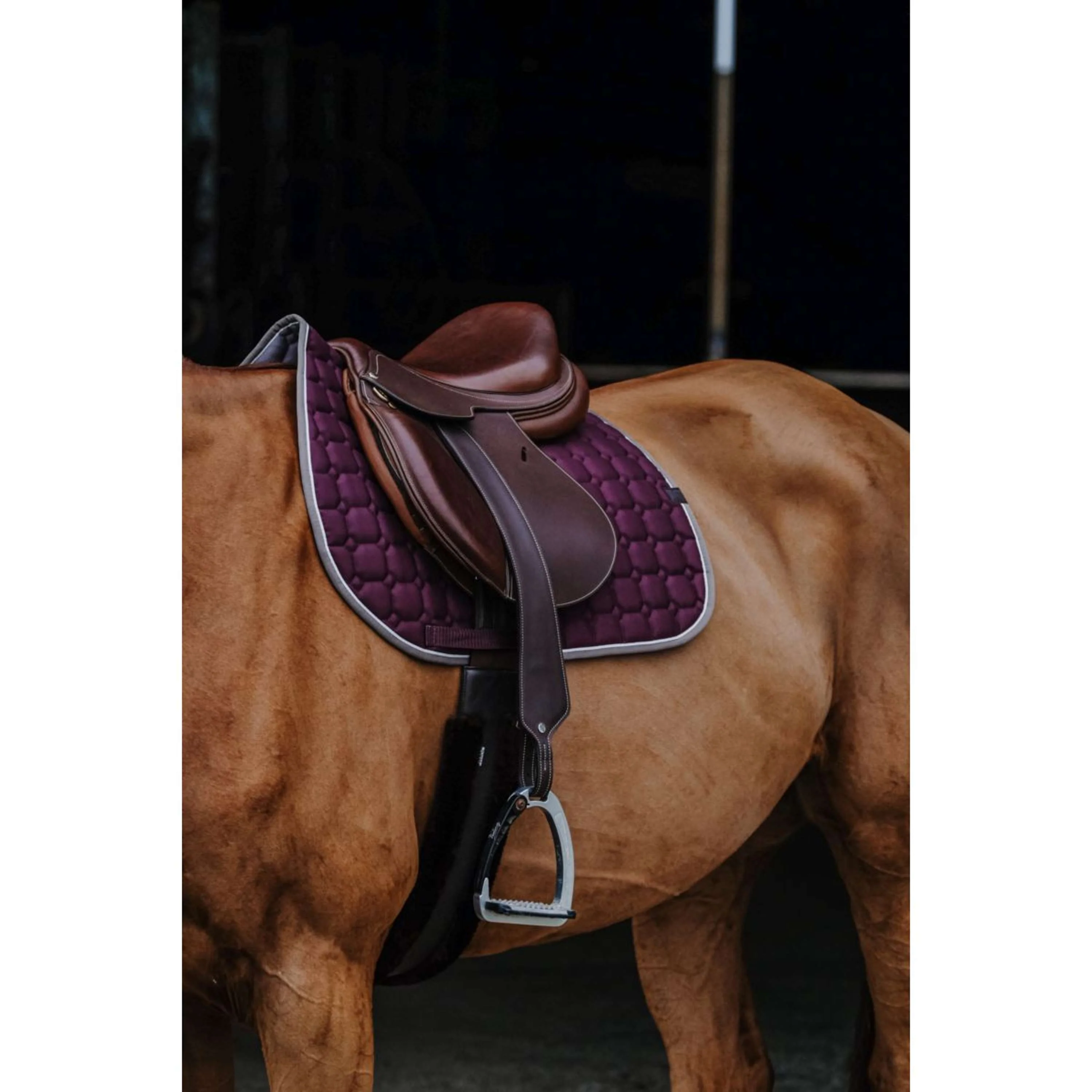EQUITHÈME Tapis de Selle Orion - Image 2