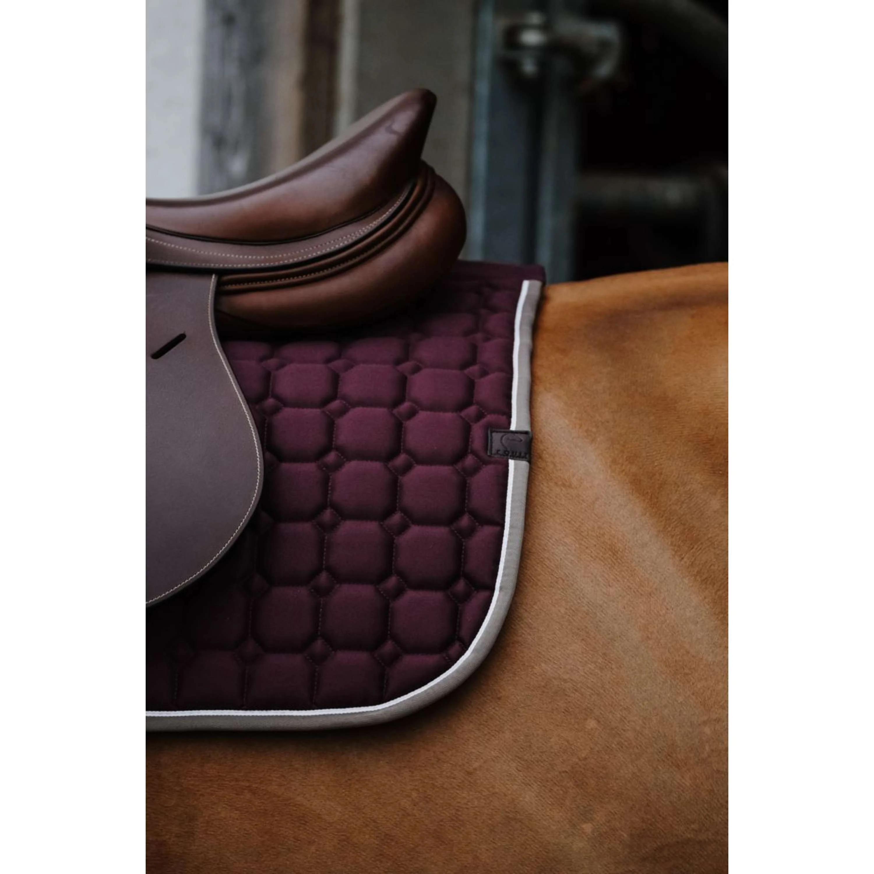 EQUITHÈME Tapis de Selle Orion - Image 3