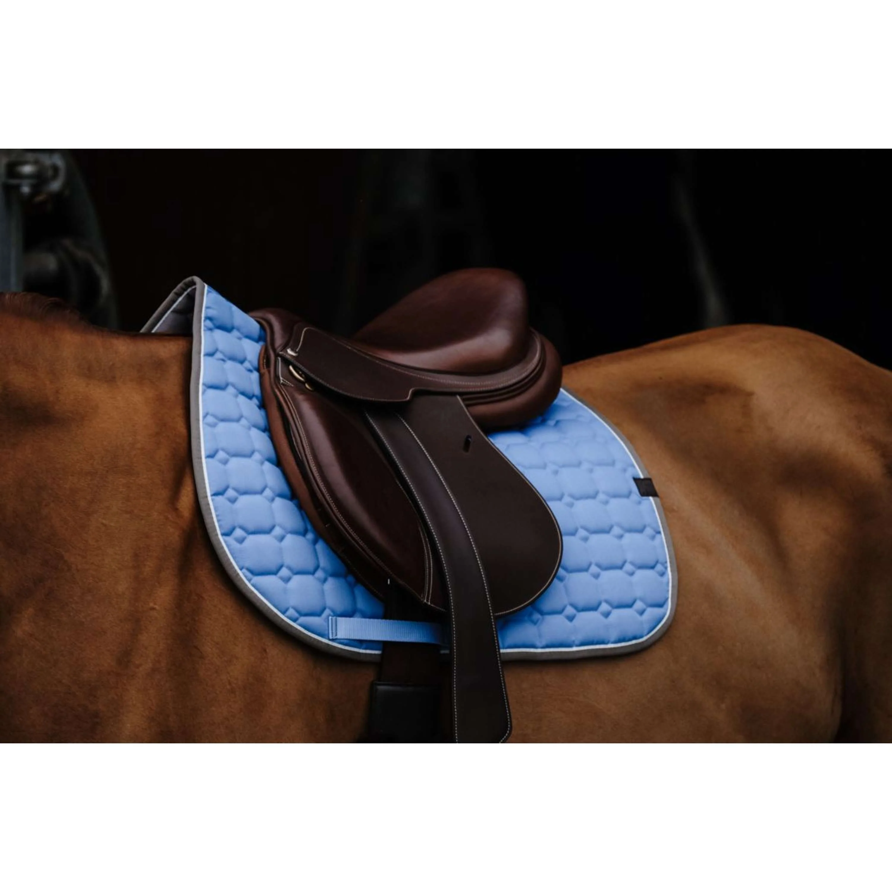 EQUITHÈME Tapis de Selle Orion Bleu clair - Image 2