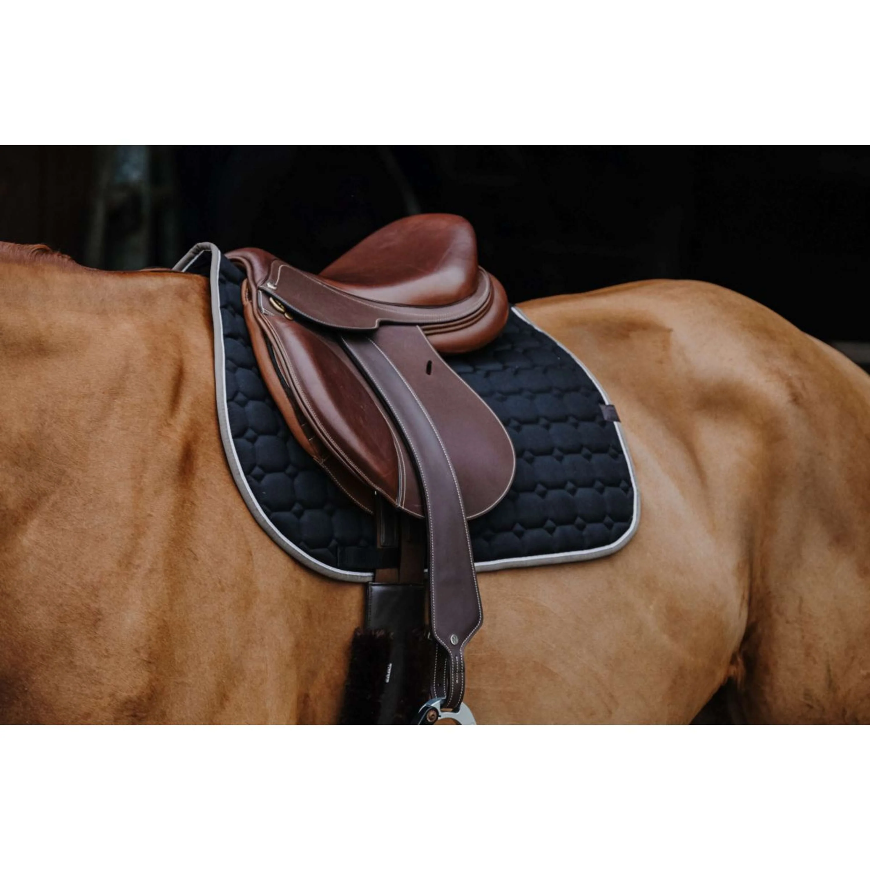 EQUITHÈME Tapis de Selle Orion Noir - Image 2