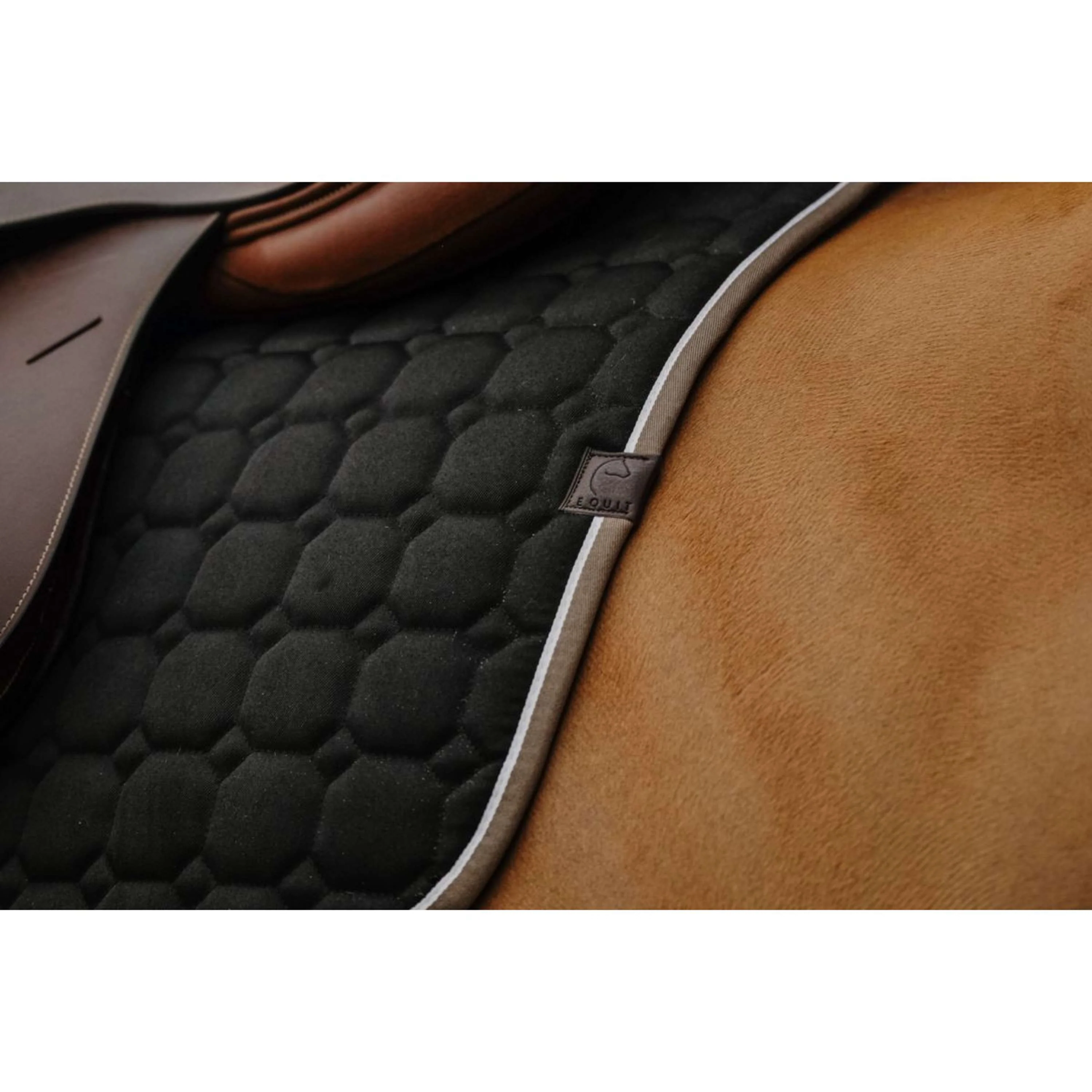 EQUITHÈME Tapis de Selle Orion Noir - Image 3