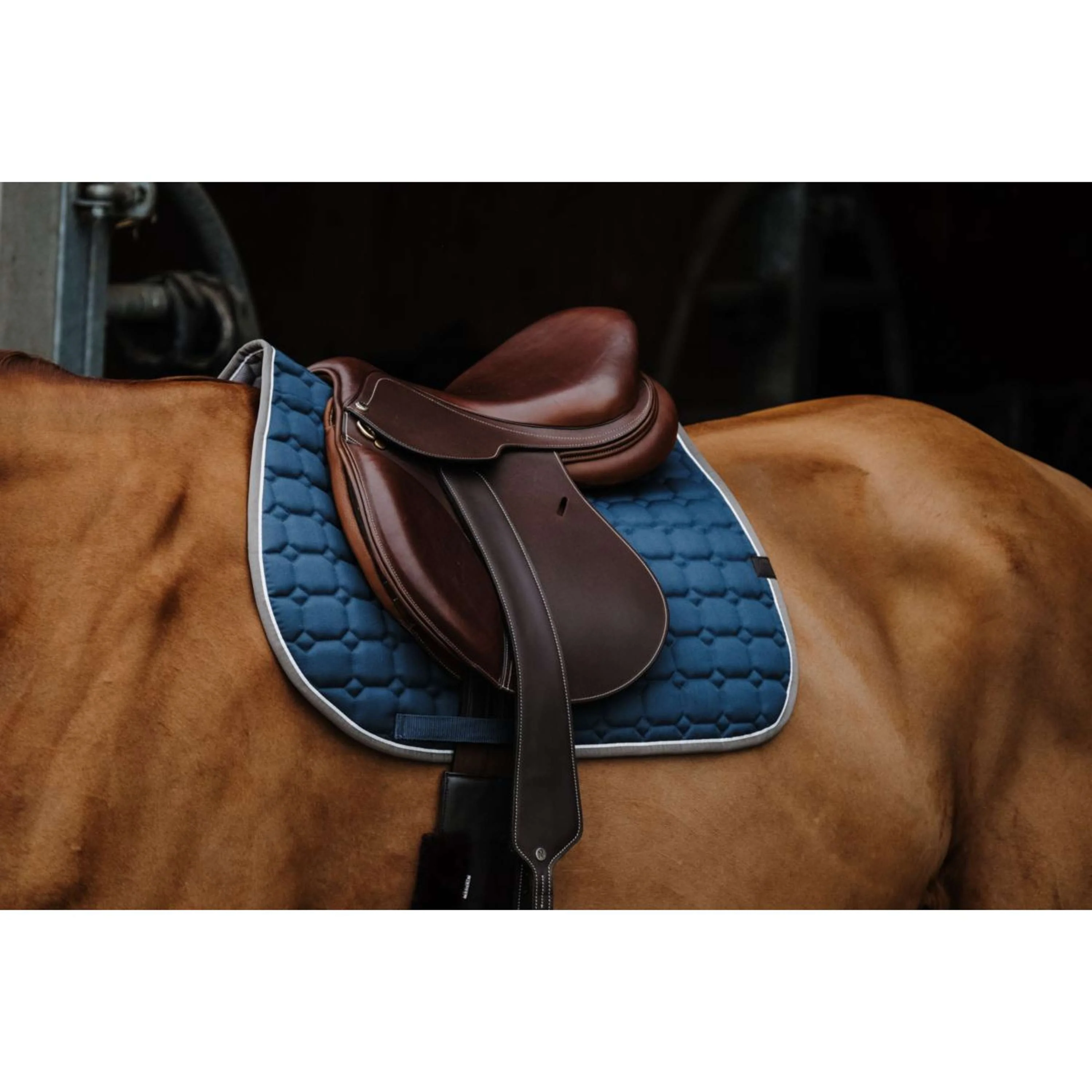 EQUITHÈME Tapis de Selle Orion Vert Bleu - Image 2