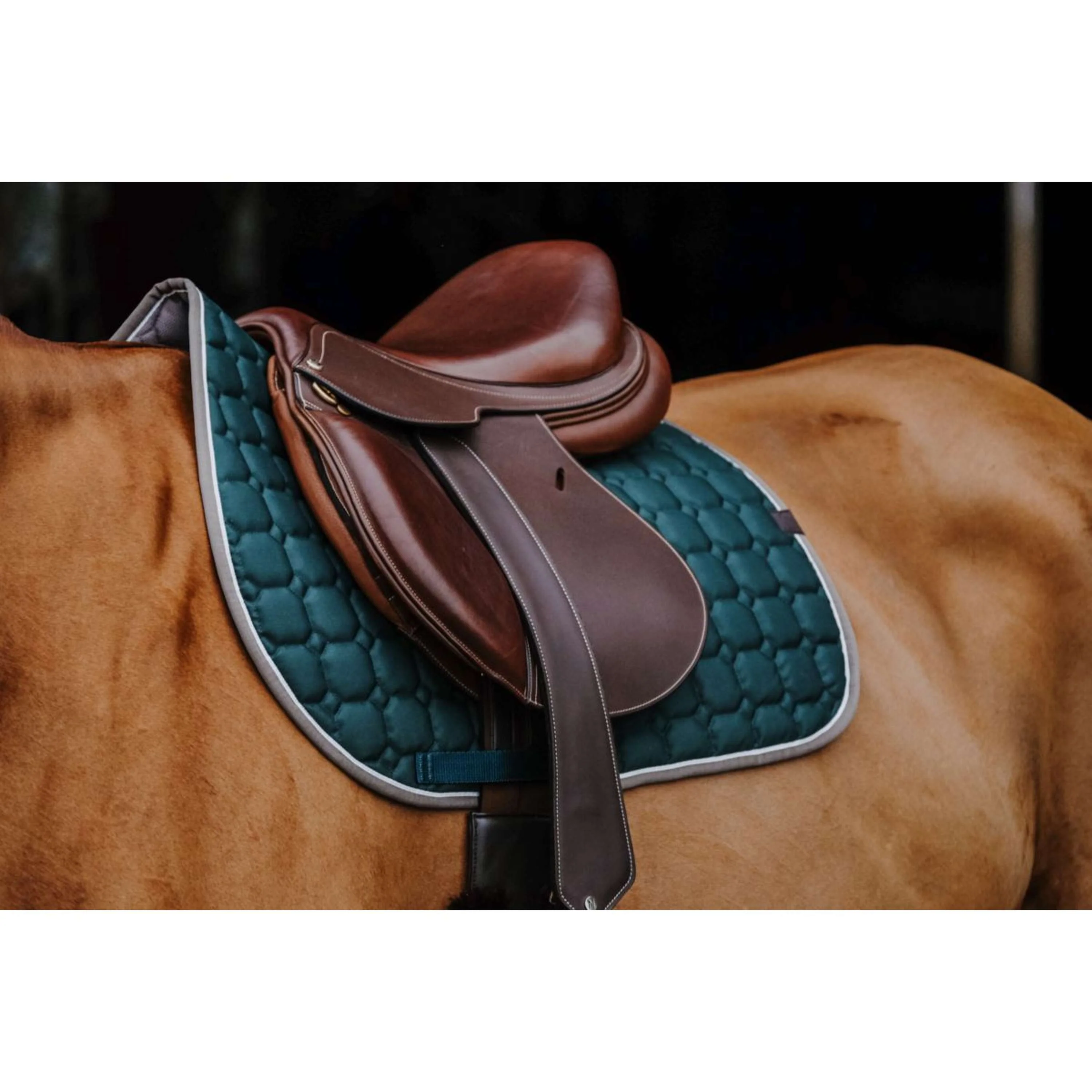 EQUITHÈME Tapis de Selle Orion Vert Foncé - Image 2