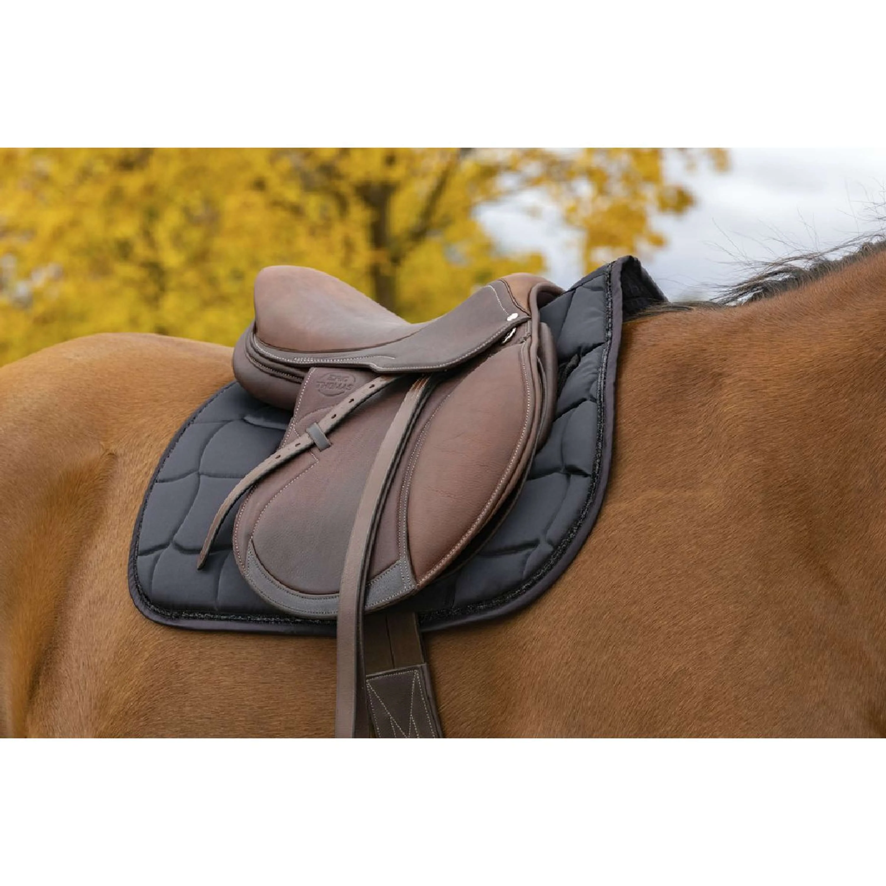 EQUITHÈME Tapis de Selle Satin Polyvalent Noir - Image 2