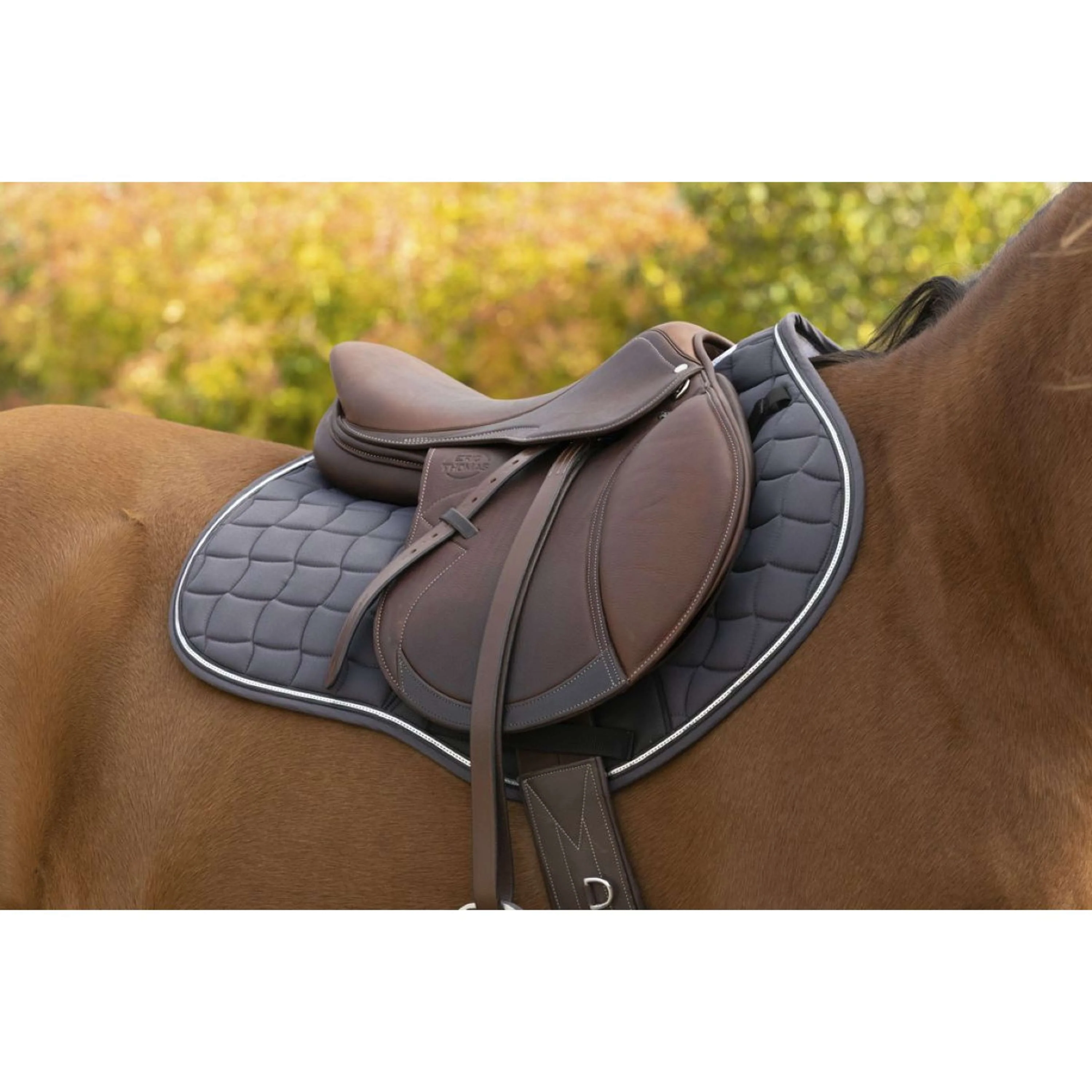 EQUITHÈME Tapis de Selle Sport de Saut Gris - Image 2