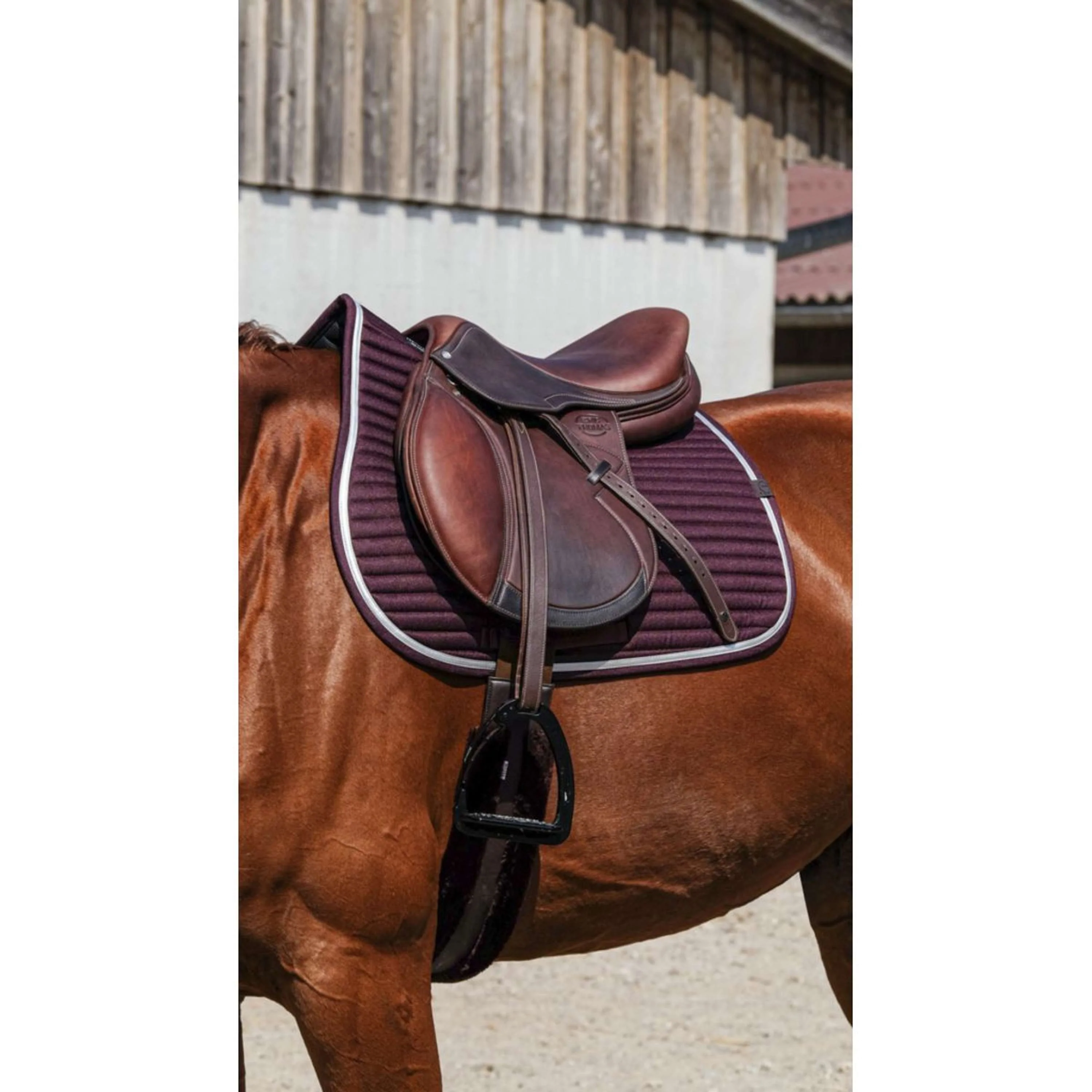 EQUITHÈME Tapis de Selle Spring de Saut Bordeaux - Image 2