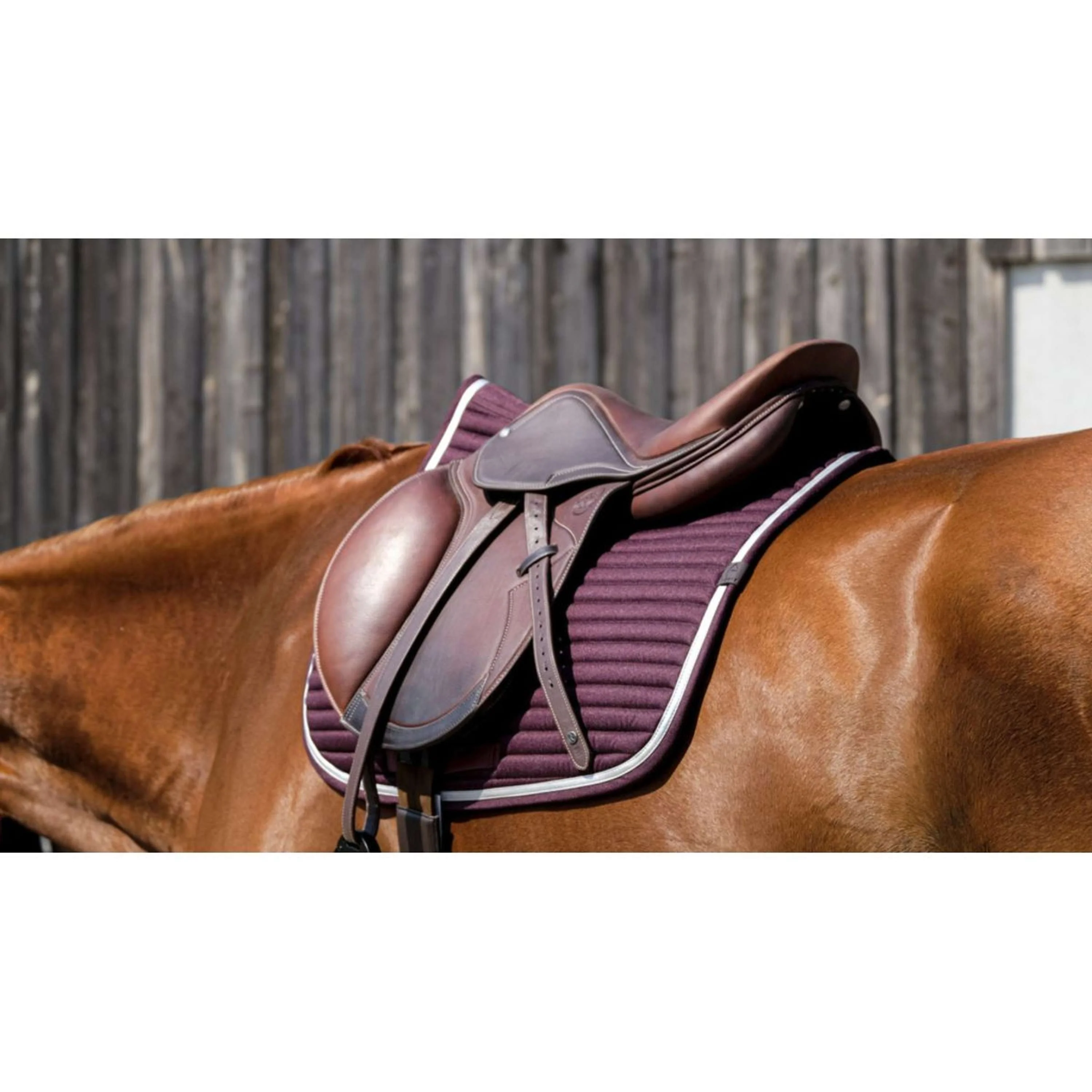 EQUITHÈME Tapis de Selle Spring de Saut Bordeaux - Image 4