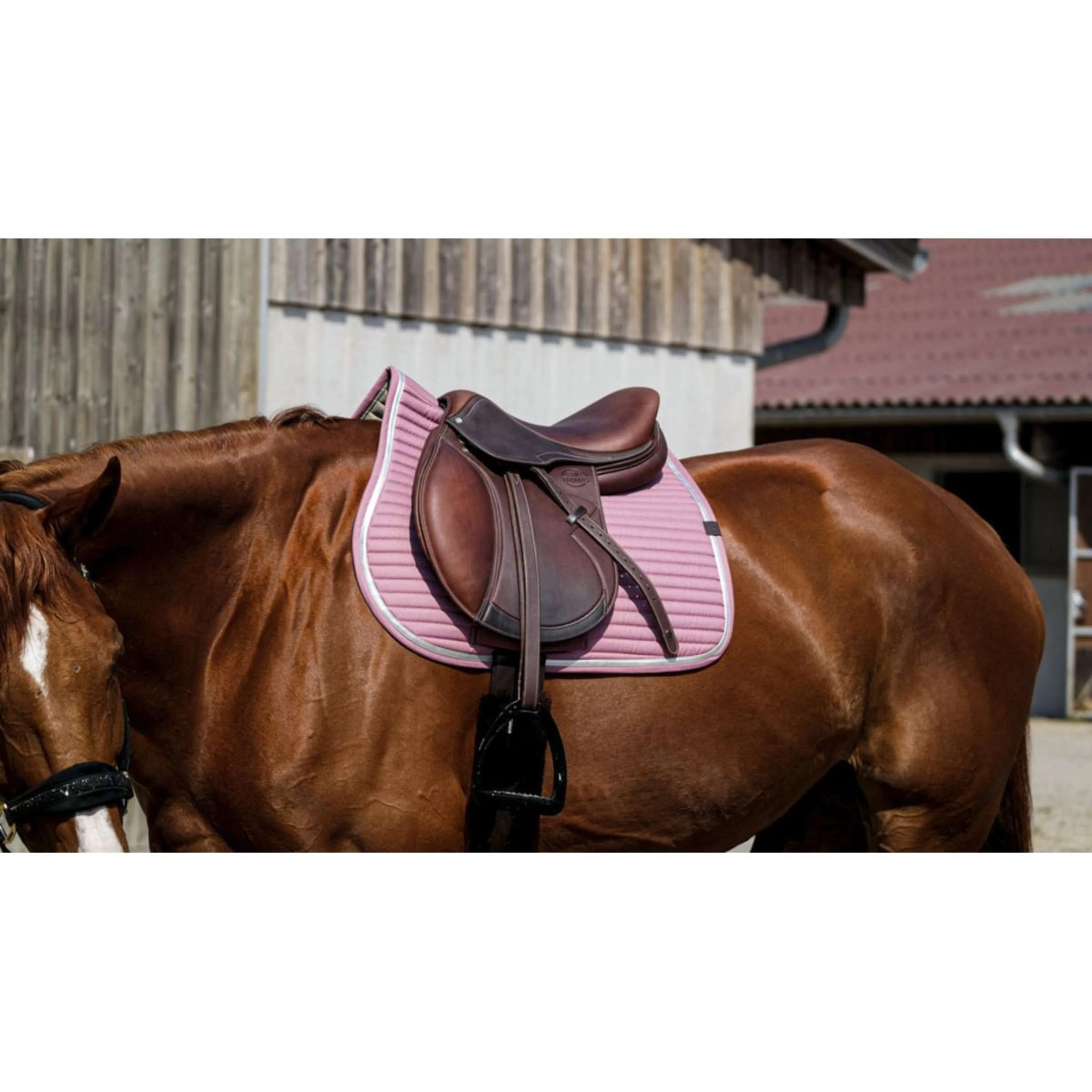EQUITHÈME Tapis de Selle Spring de Saut Rose - Image 2