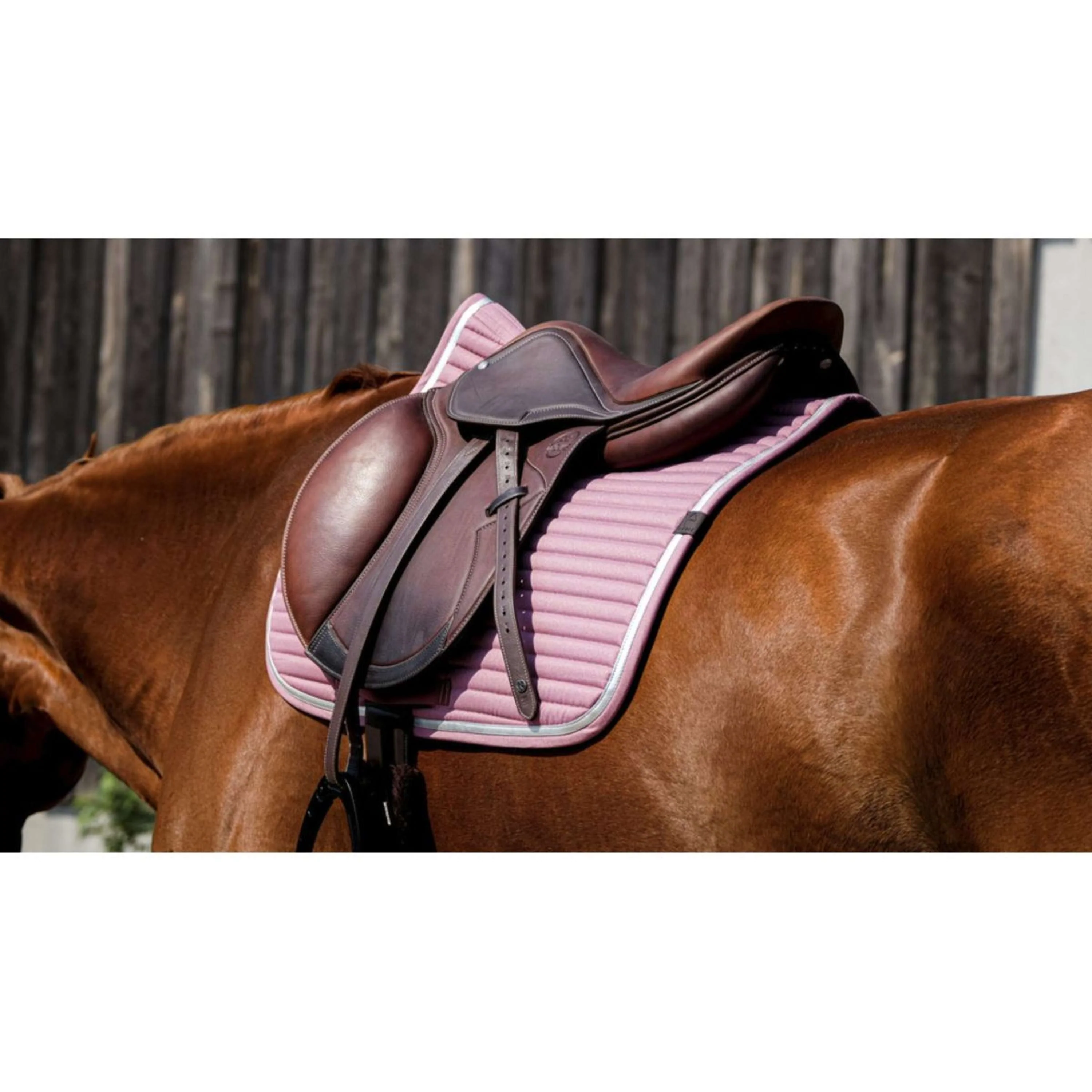 EQUITHÈME Tapis de Selle Spring de Saut Rose - Image 4