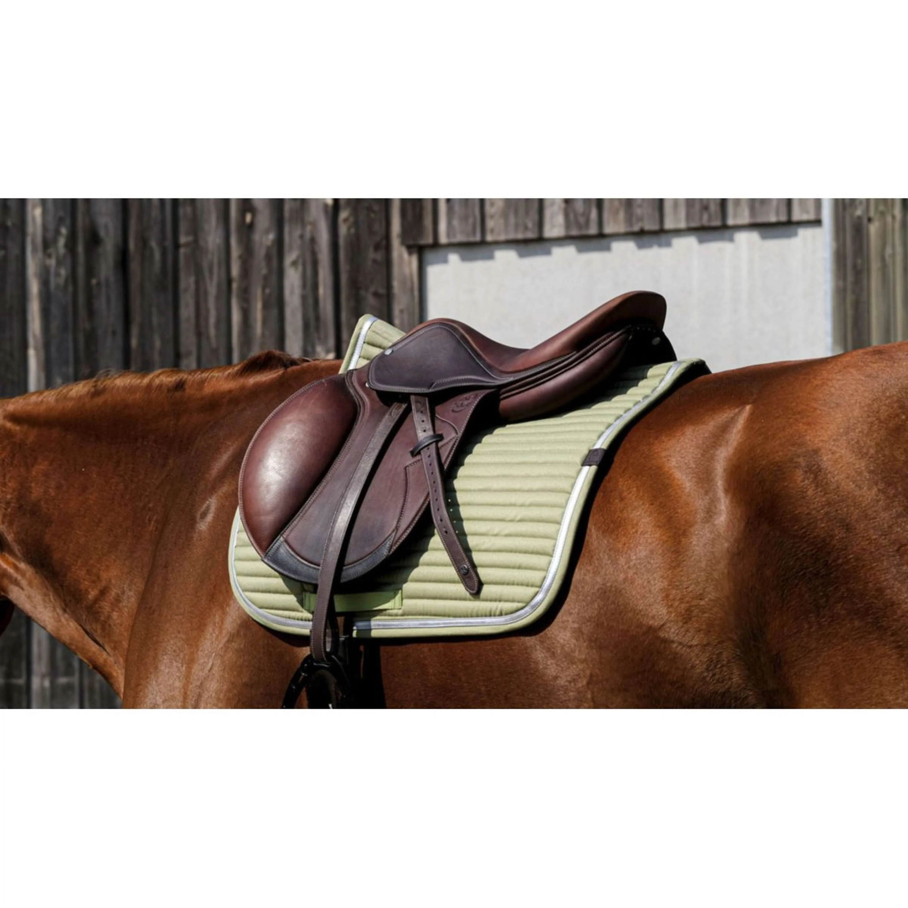 EQUITHÈME Tapis de Selle Spring de Saut Vert clair - Image 4
