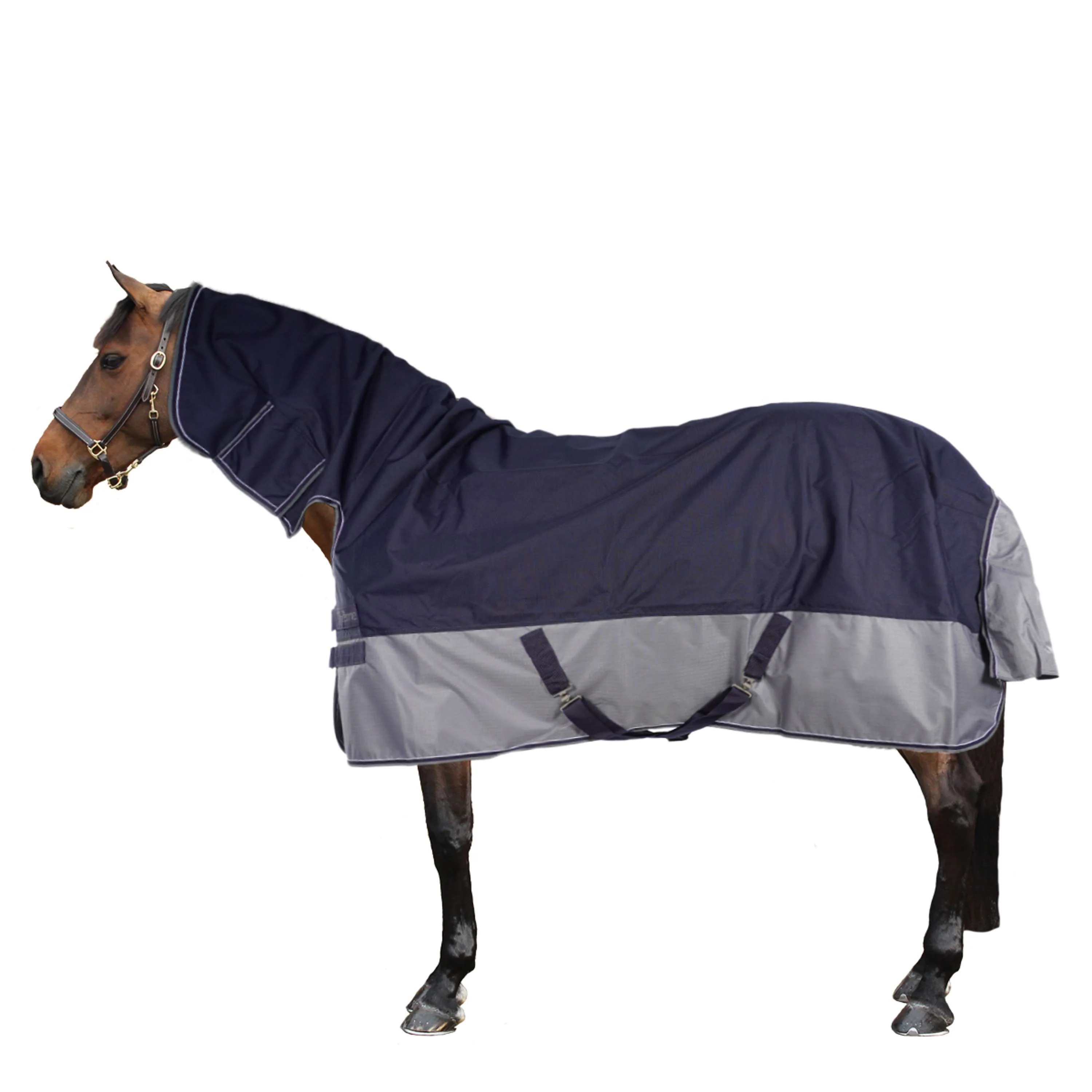 EQUITHÈME Turnout Rug Tyrex Combo 600D 200g Marine/Gris Dots - Image 2