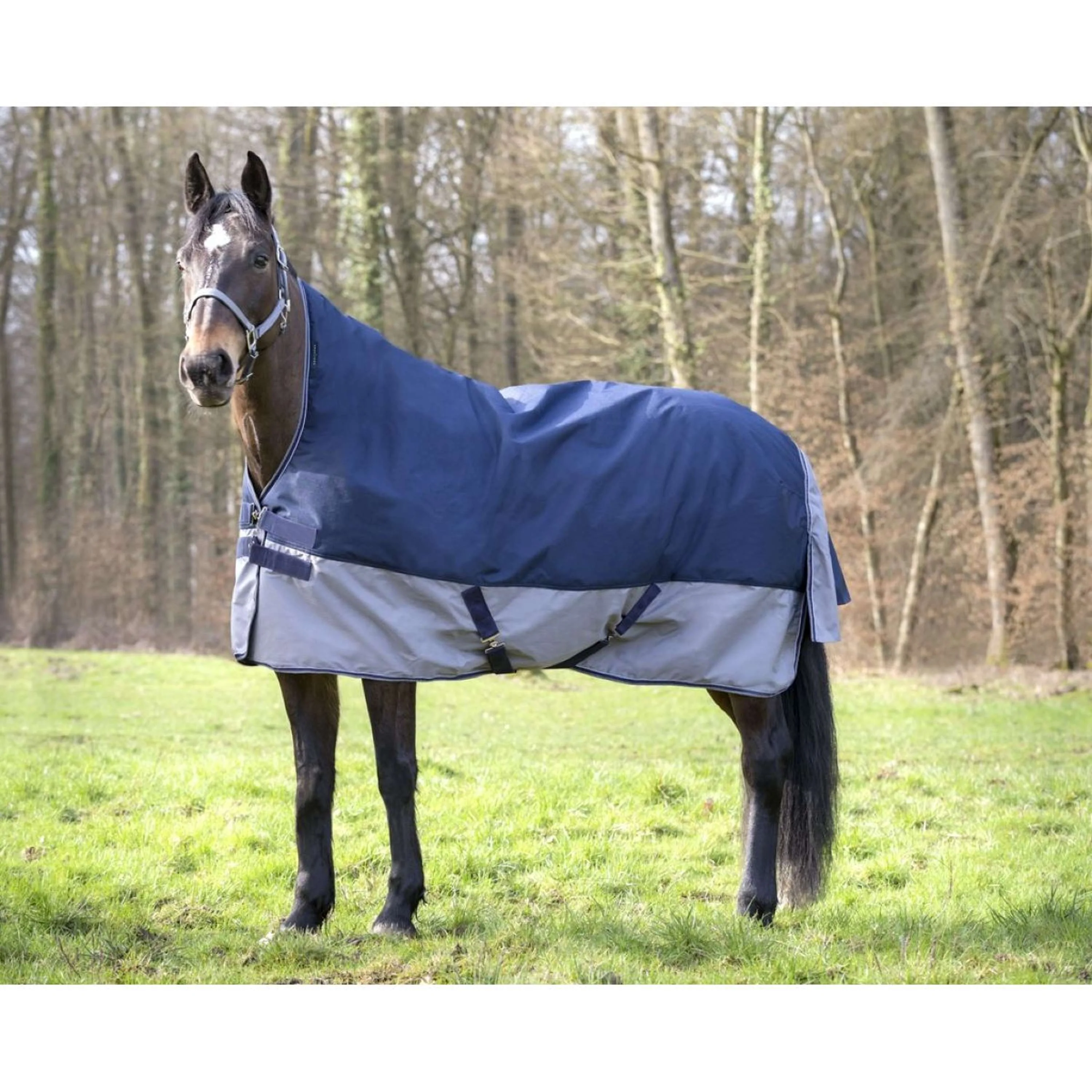 EQUITHÈME Turnout Rug Tyrex High Neck 600D 300g Marine/Gris Dots - Image 9
